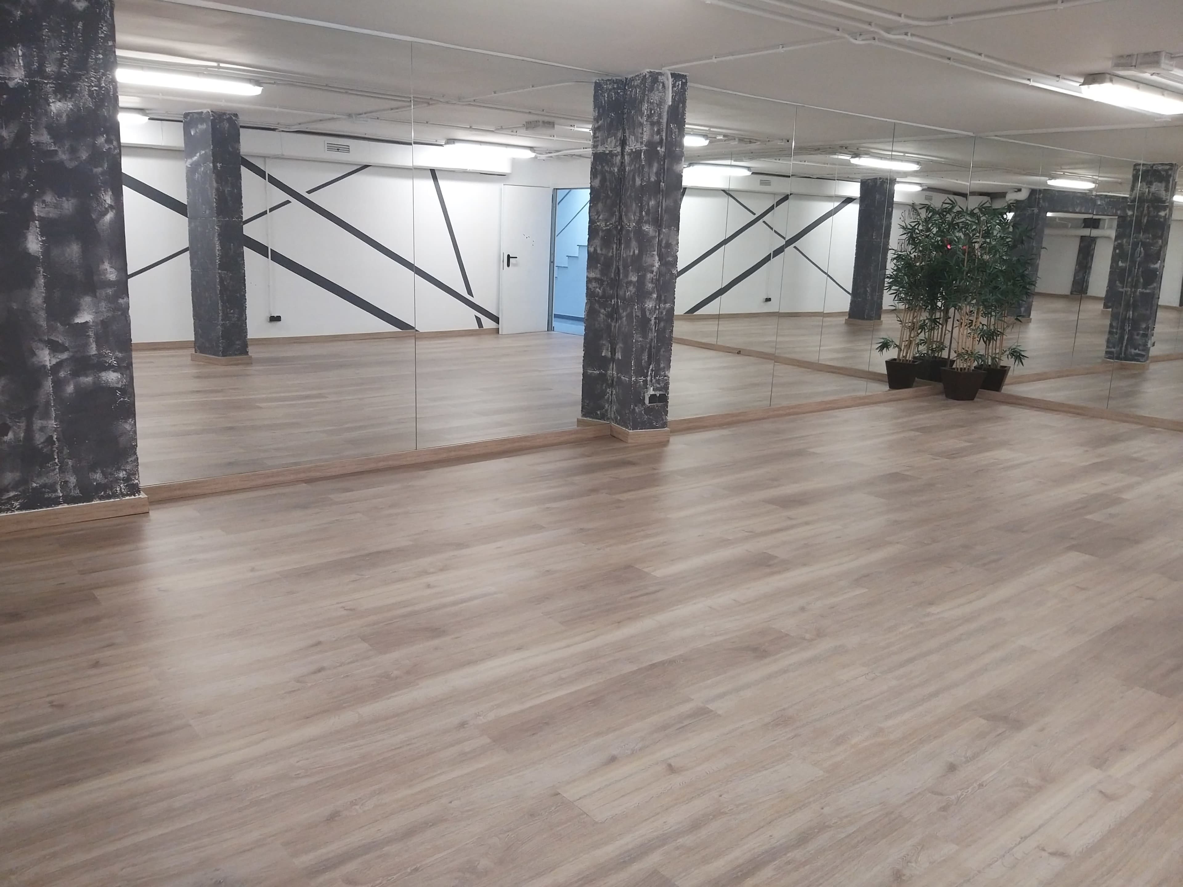 A spacious, empty room with wooden flooring, wall mirrors, and large potted plants against a backdrop of textured black and white walls.
