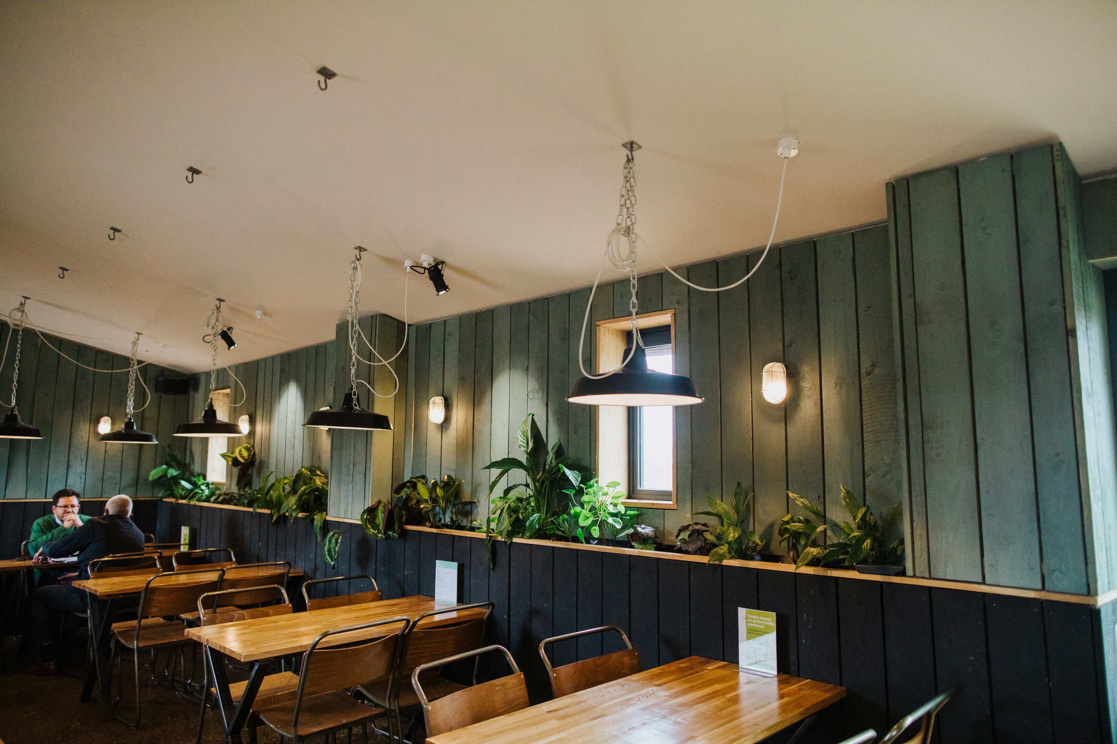 The interior of a cafe features wooden walls, hanging lights, and tables with chairs, alongside plants lining the wall.