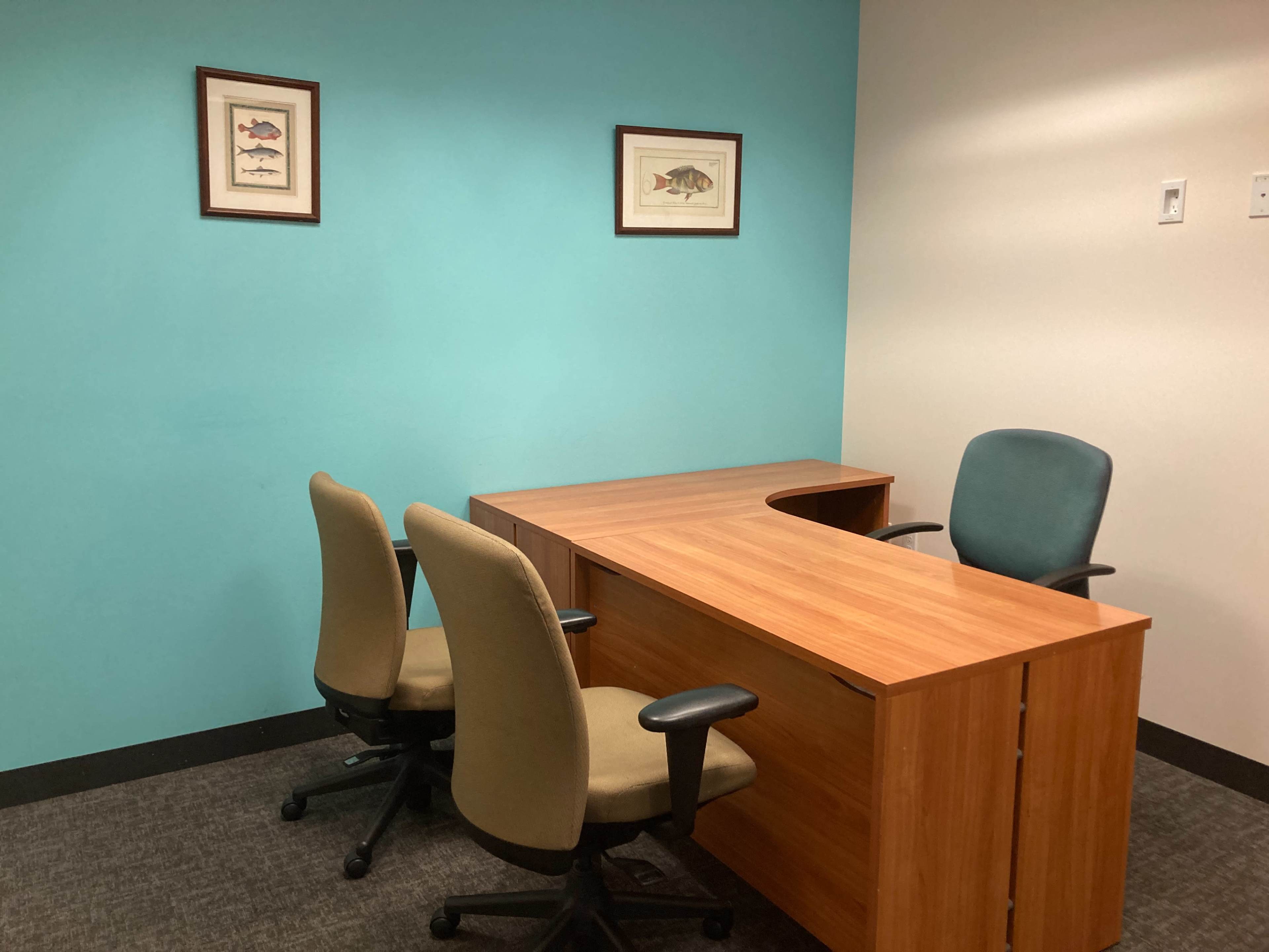 An office space with a wooden desk, two rolling chairs, and framed fish prints on a blue wall.