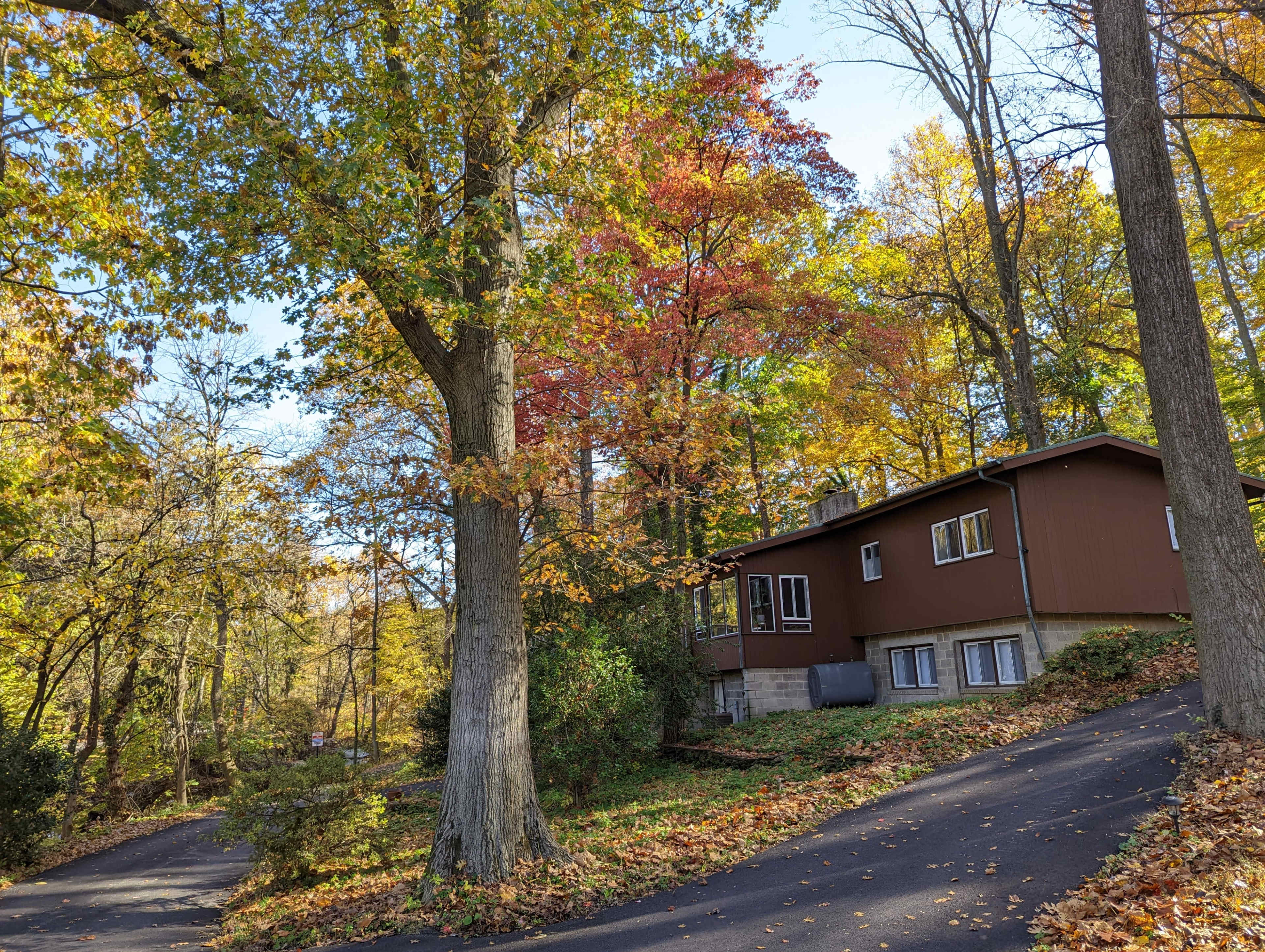 A brown house is situated on a sloped driveway surrounded by trees displaying autumn foliage.
