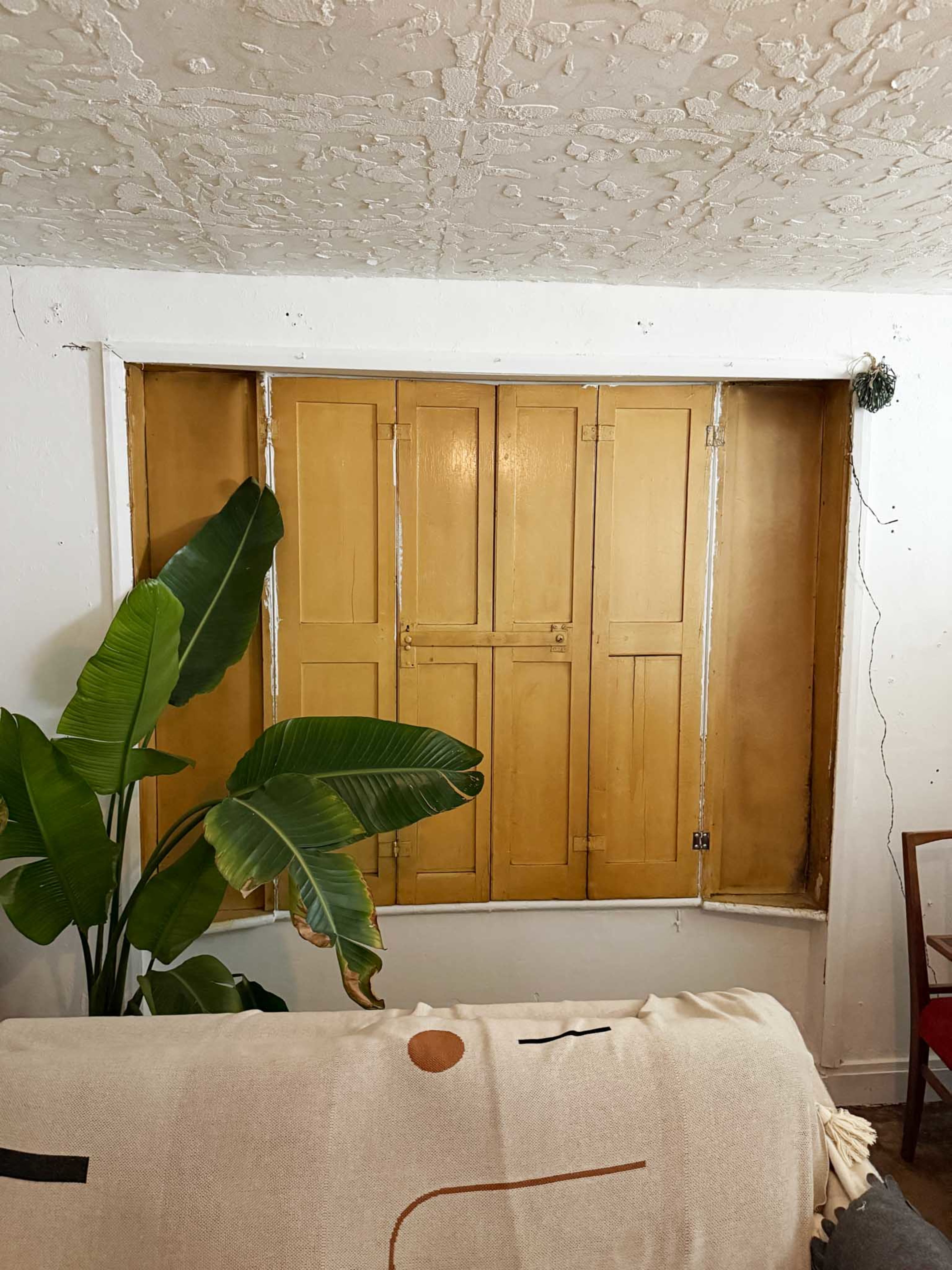 A yellow wooden shutter is closed over a window in a room with a large plant and a couch.