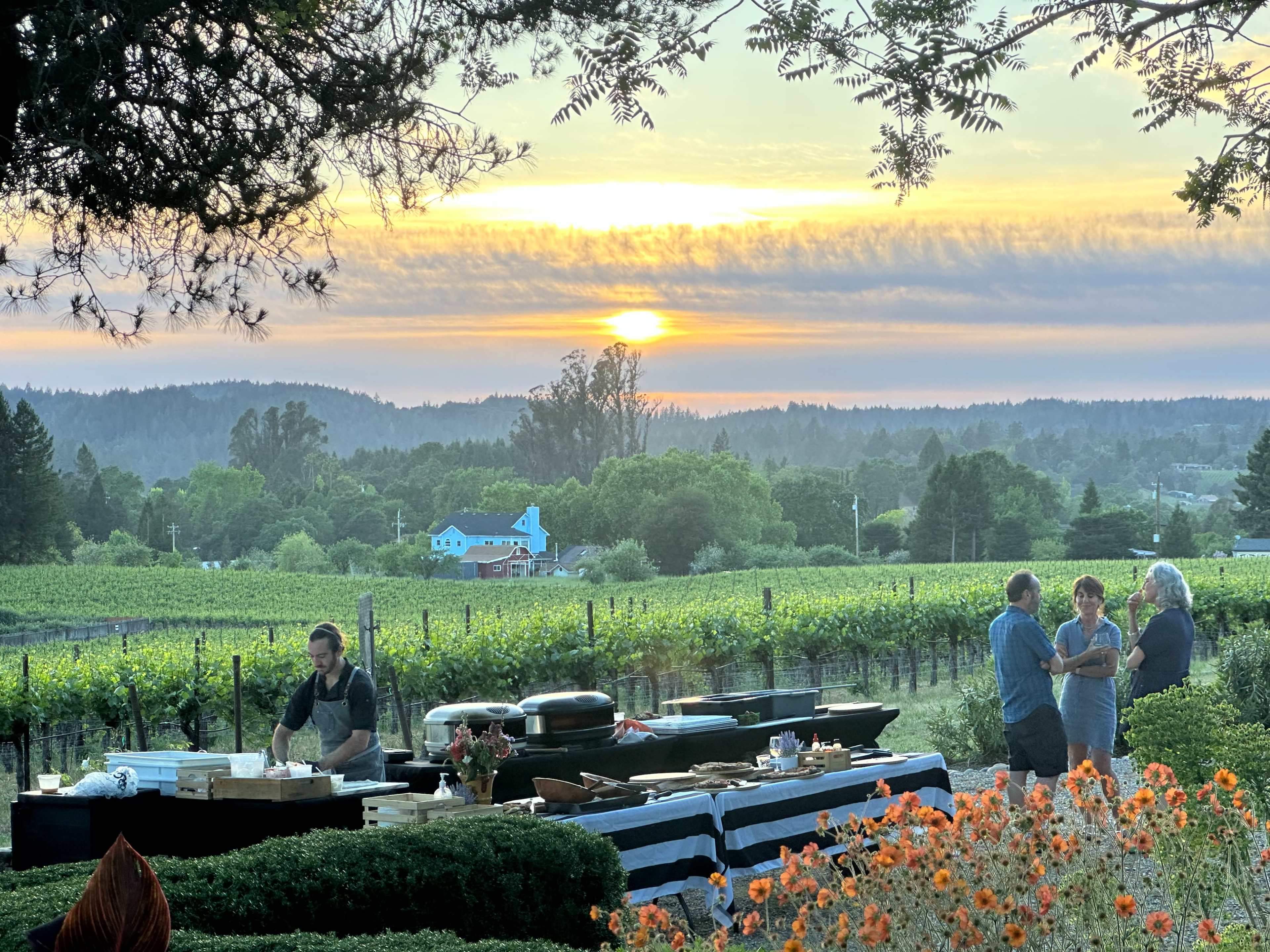 Stunning Boutique Vineyard Estate for Workshops, Retreats, Photoshoots, Off-Sites & Gatherings Image in , Sebastopol, CA