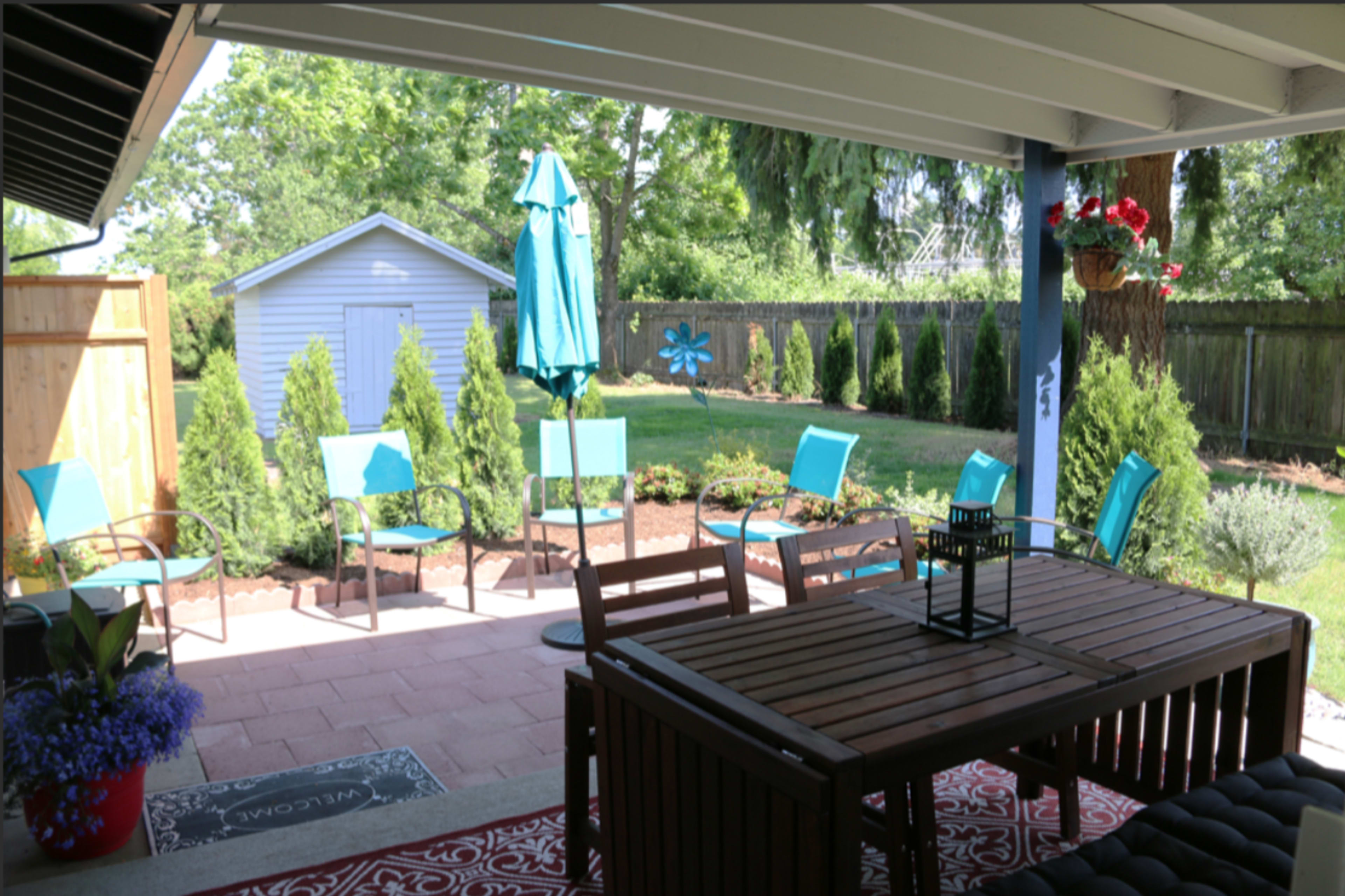 A cozy outdoor patio area features a wooden table and chairs, surrounded by neatly arranged greenery and a blue shed in the background.