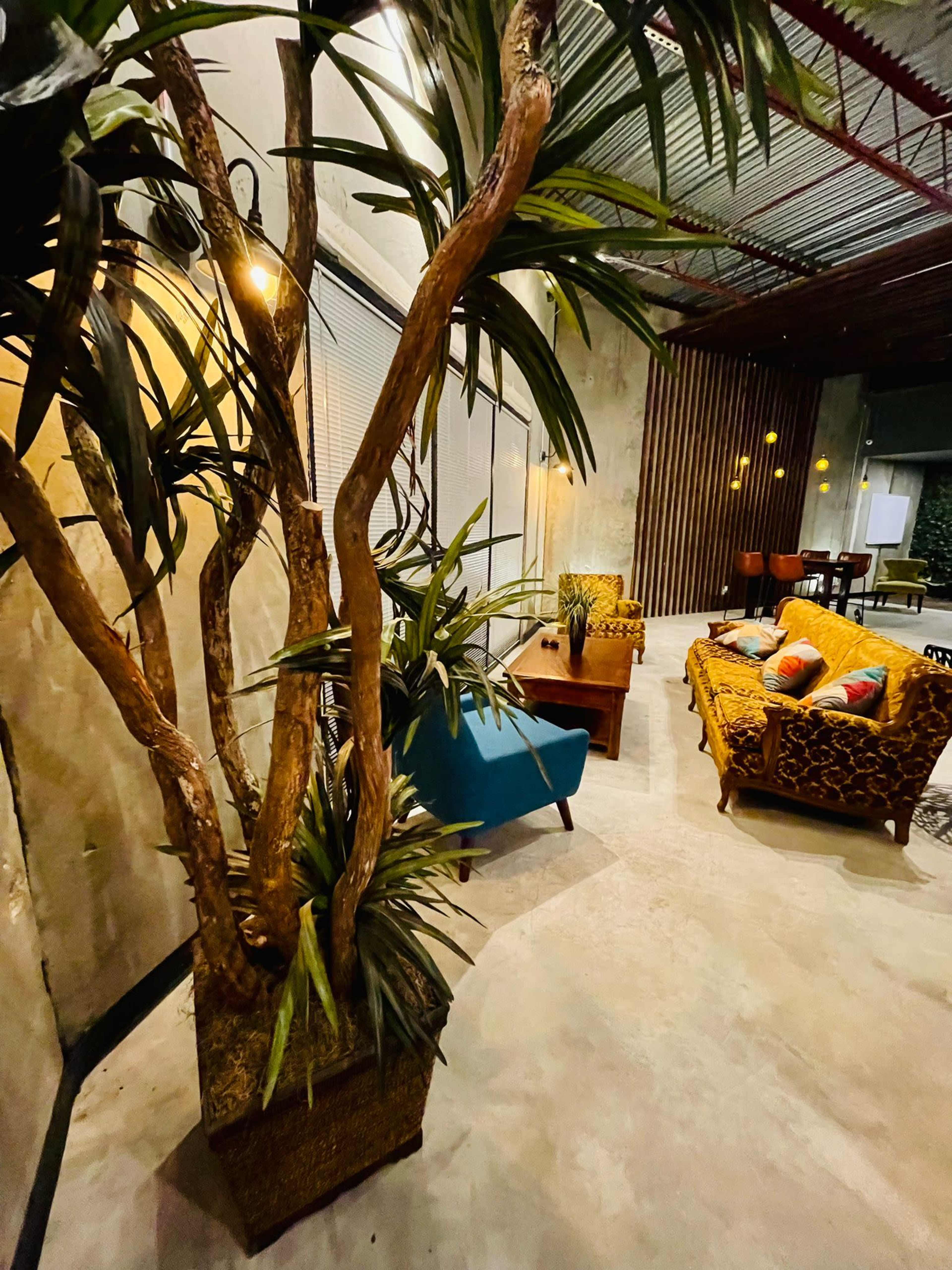 A modern lounge area features a potted plant, a blue chair, a wooden coffee table, and a patterned sofa against concrete walls.
