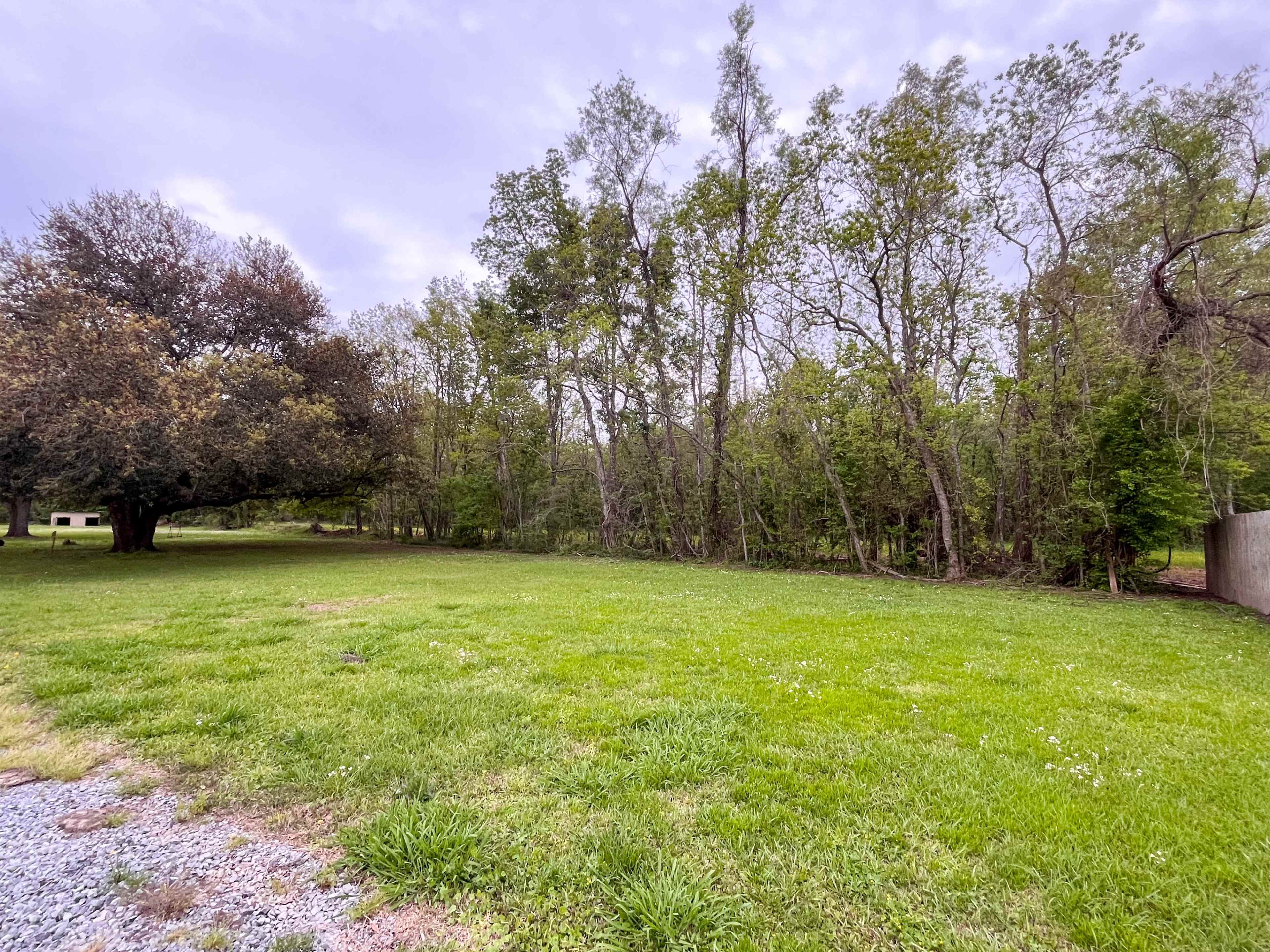 A grassy clearing is bordered by trees on one side and a gravel path on the other.