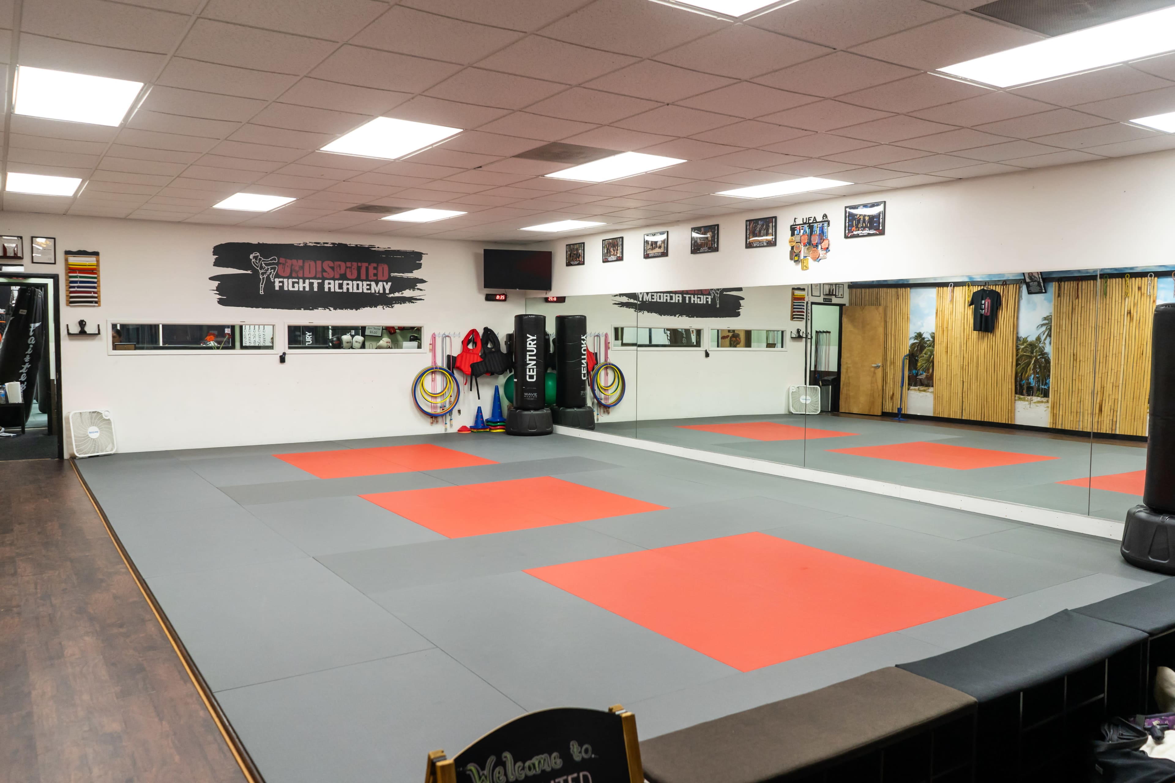 The image shows a spacious martial arts studio with gray and red mats, mirrors on the walls, and training equipment positioned around the room.