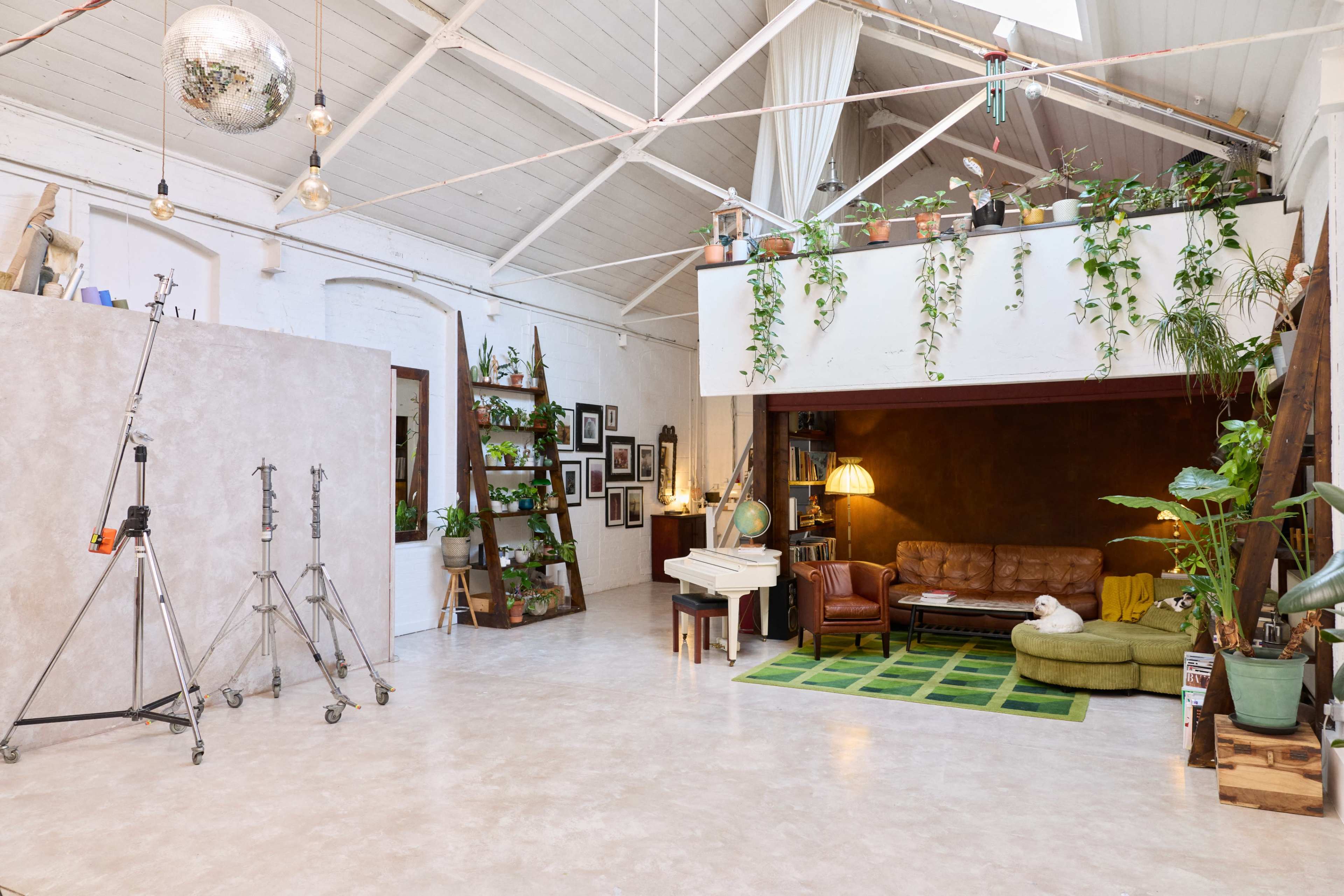 The image shows a spacious, well-lit studio with a mix of decorative plants, furniture, and photography equipment.