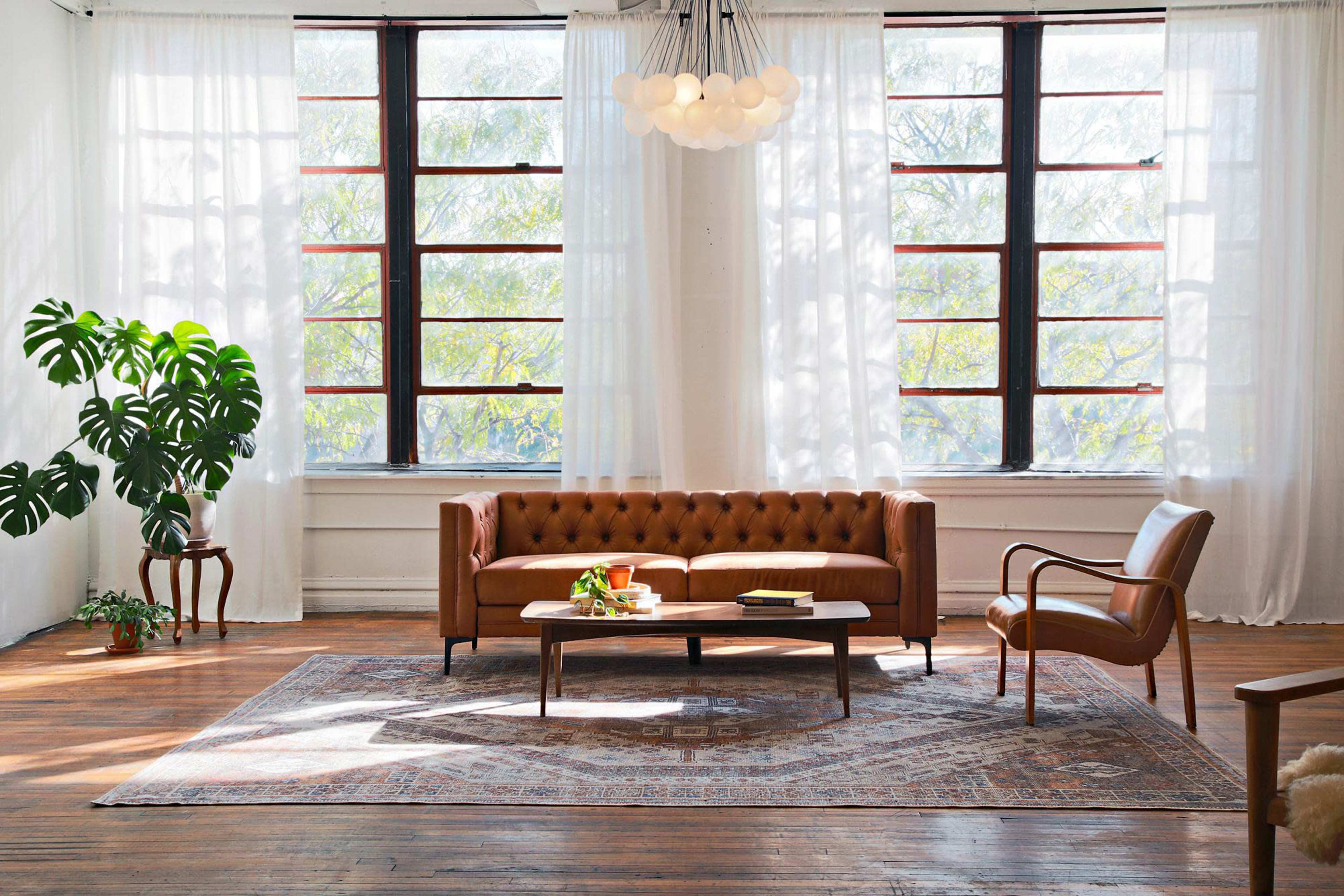 A bright living room features a brown tufted leather sofa, an armchair, a coffee table, and large windows with sheer white curtains, along with a large potted plant.