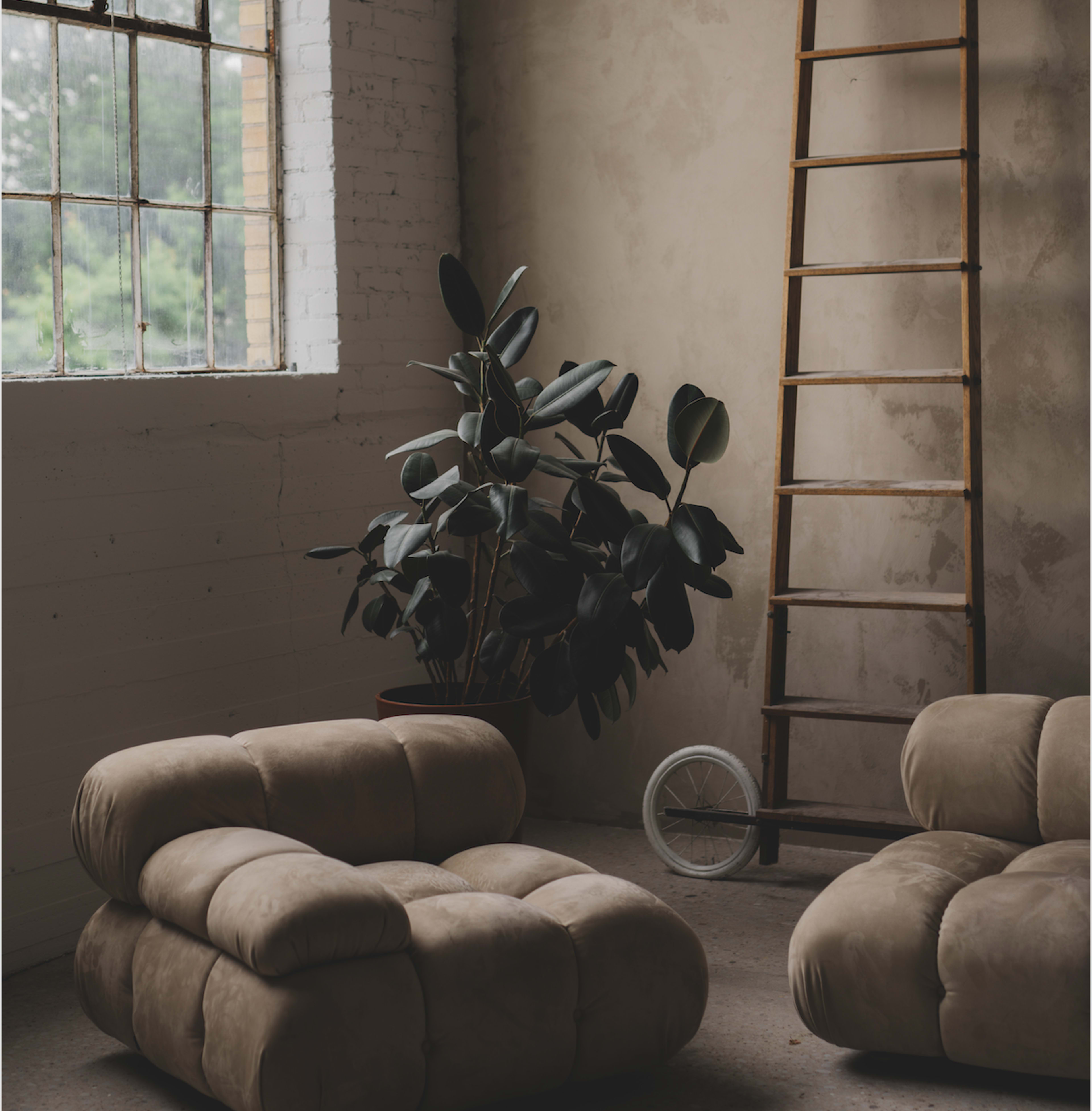 A minimalist interior with two tufted couches, a potted plant, a wooden ladder, and a white bicycle near a large window.