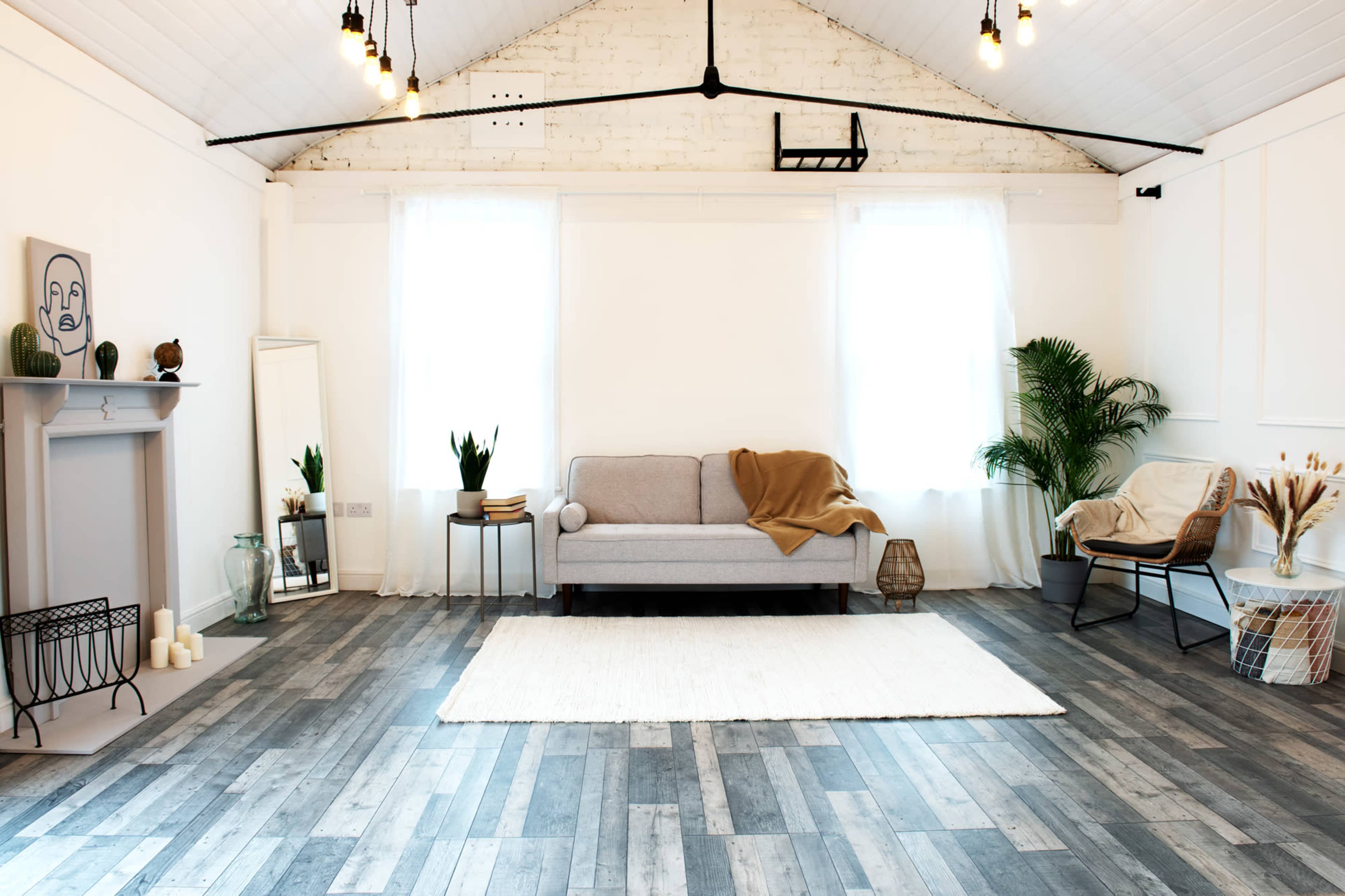 A well-lit, minimalist room featuring a gray sofa, a large area rug, a potted plant, and natural light streaming through two windows.