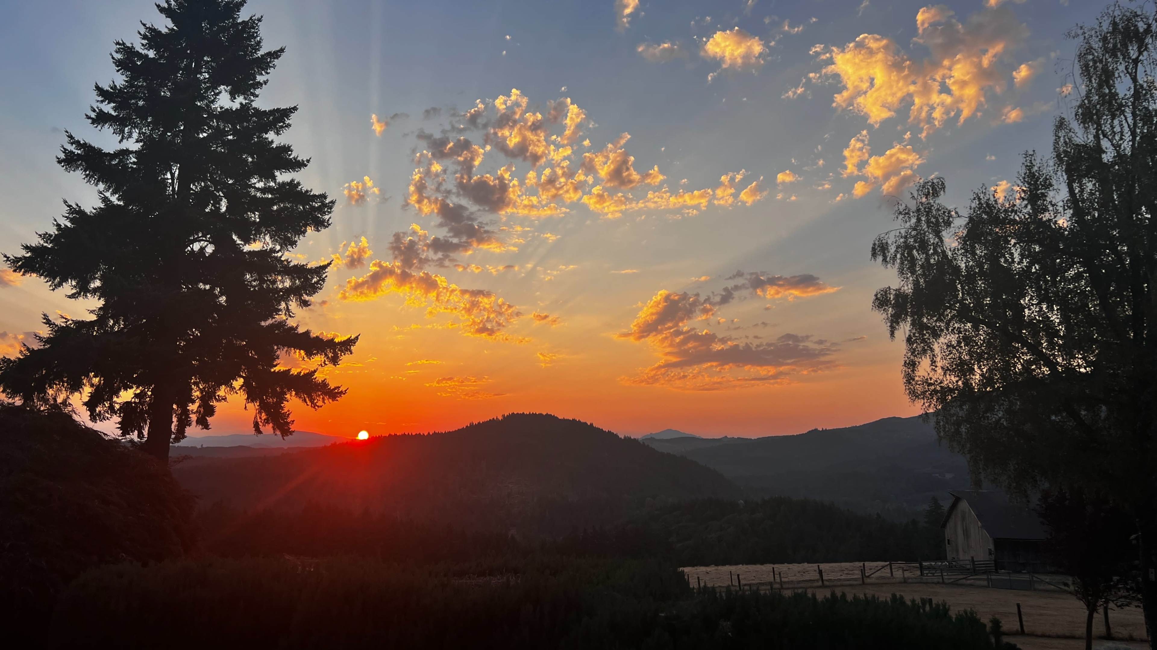 The sun sets behind rolling hills, casting orange and pink hues across the sky, while a silhouette of a tree and distant mountains frame the scene.