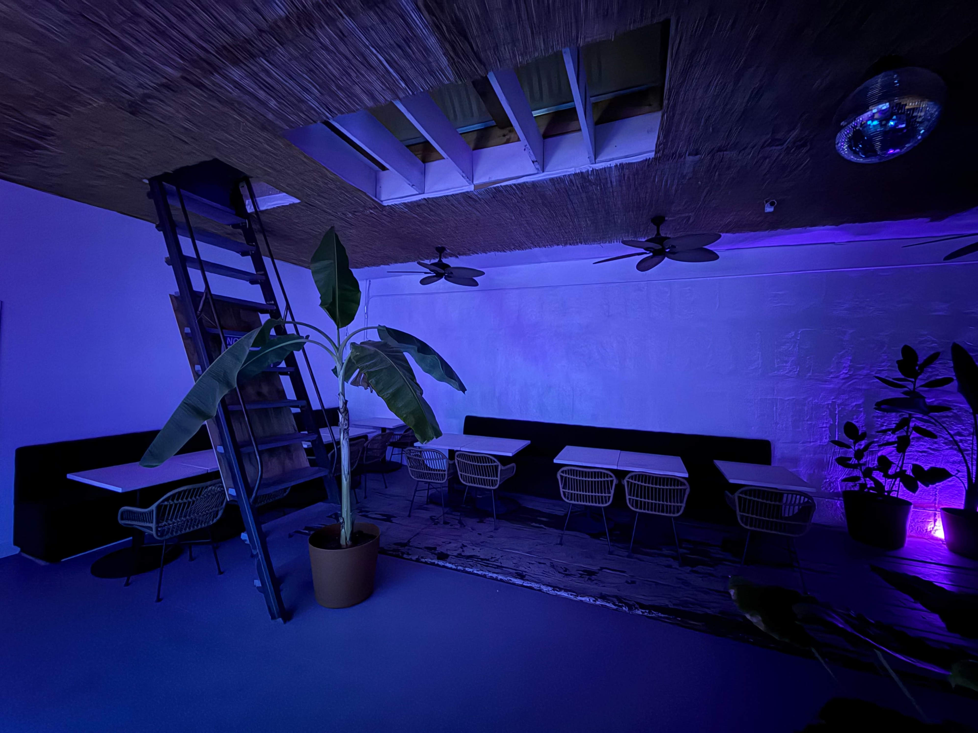 The image shows a dimly lit room with a ladder leading to a loft, surrounded by seating areas and potted plants.