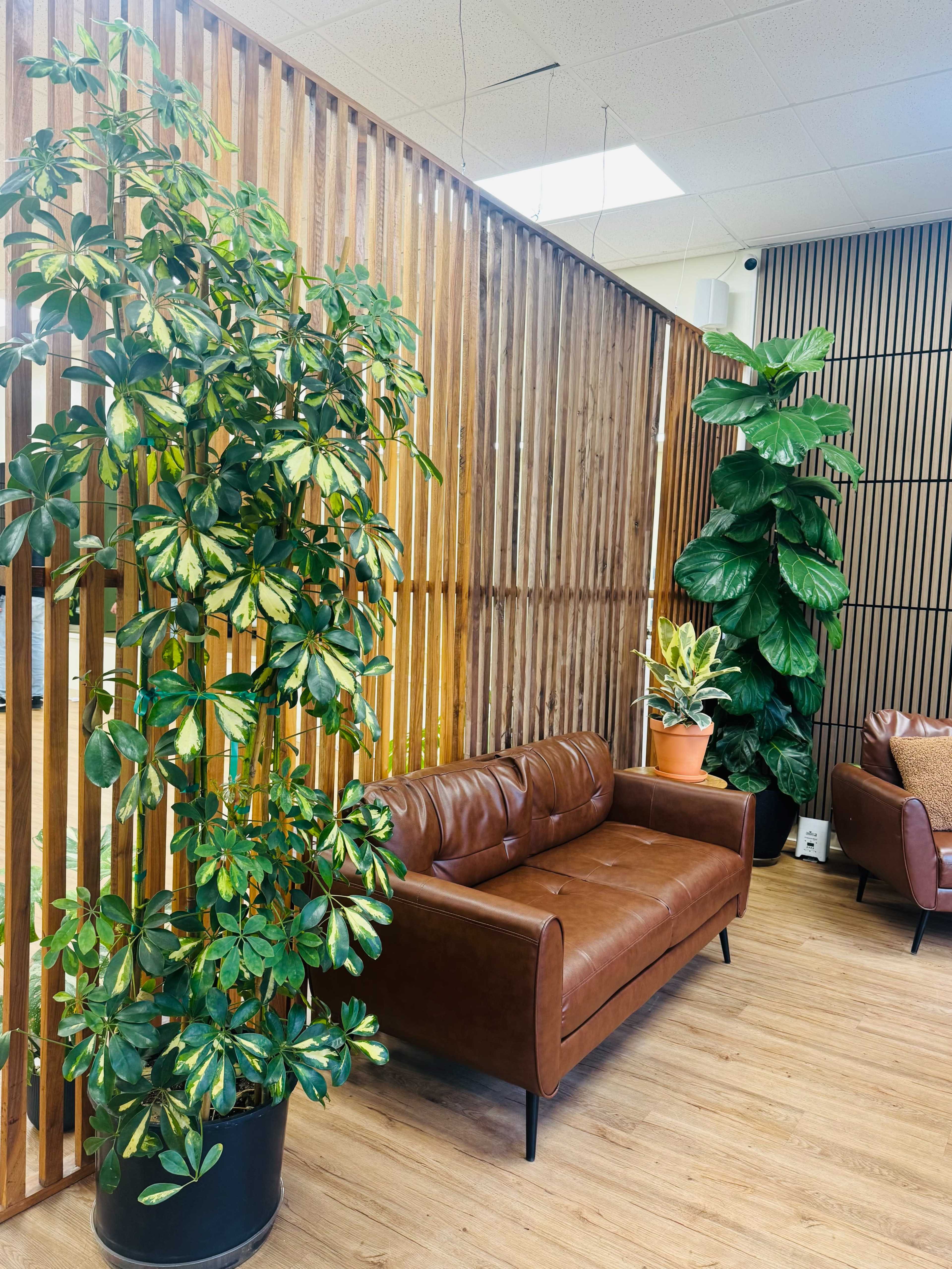 The image shows a modern waiting area with a brown leather couch flanked by two large potted plants and wooden slat walls.
