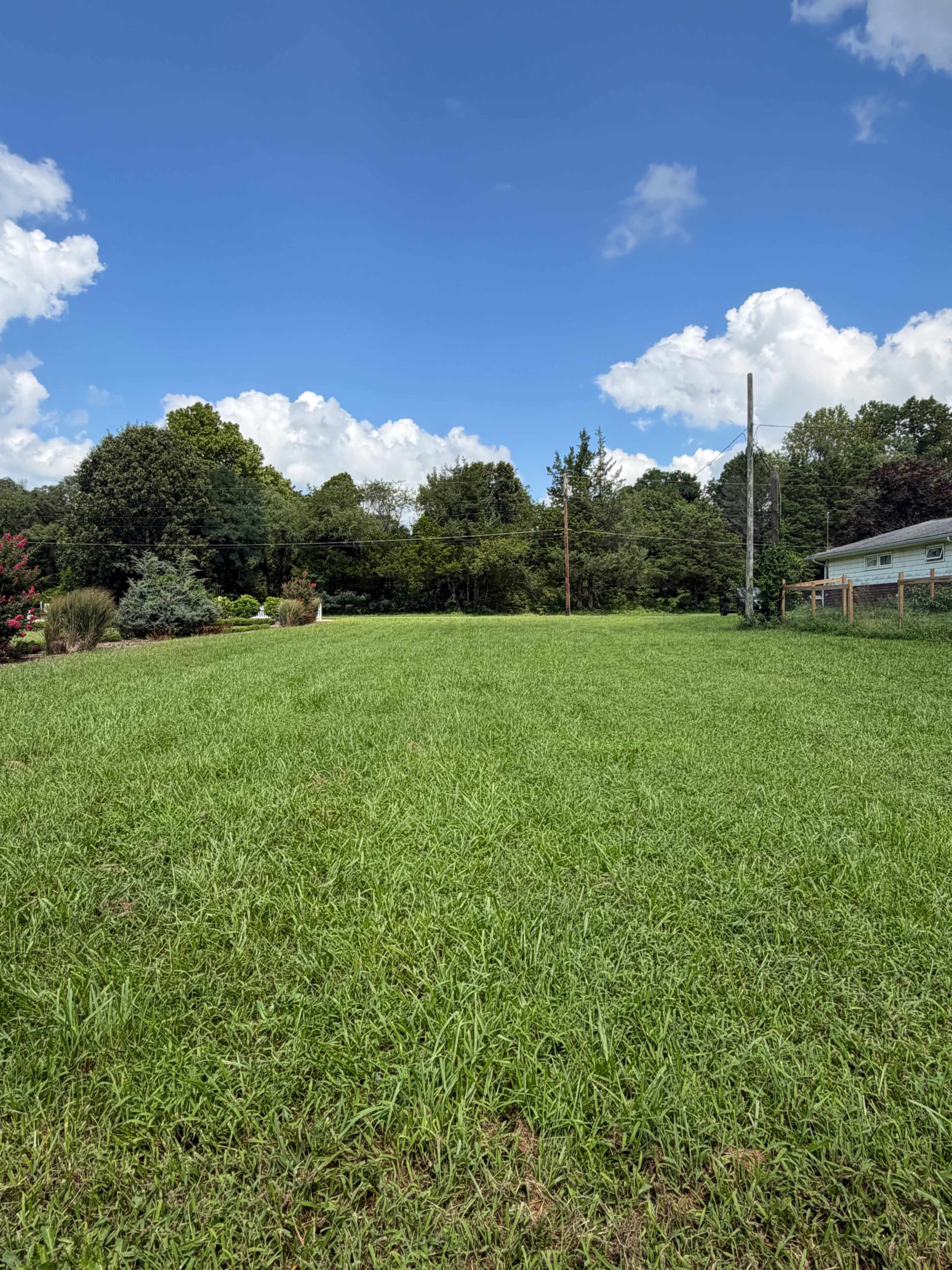 The image shows a large, open grassy area bordered by trees and a power pole against a blue sky with scattered clouds.