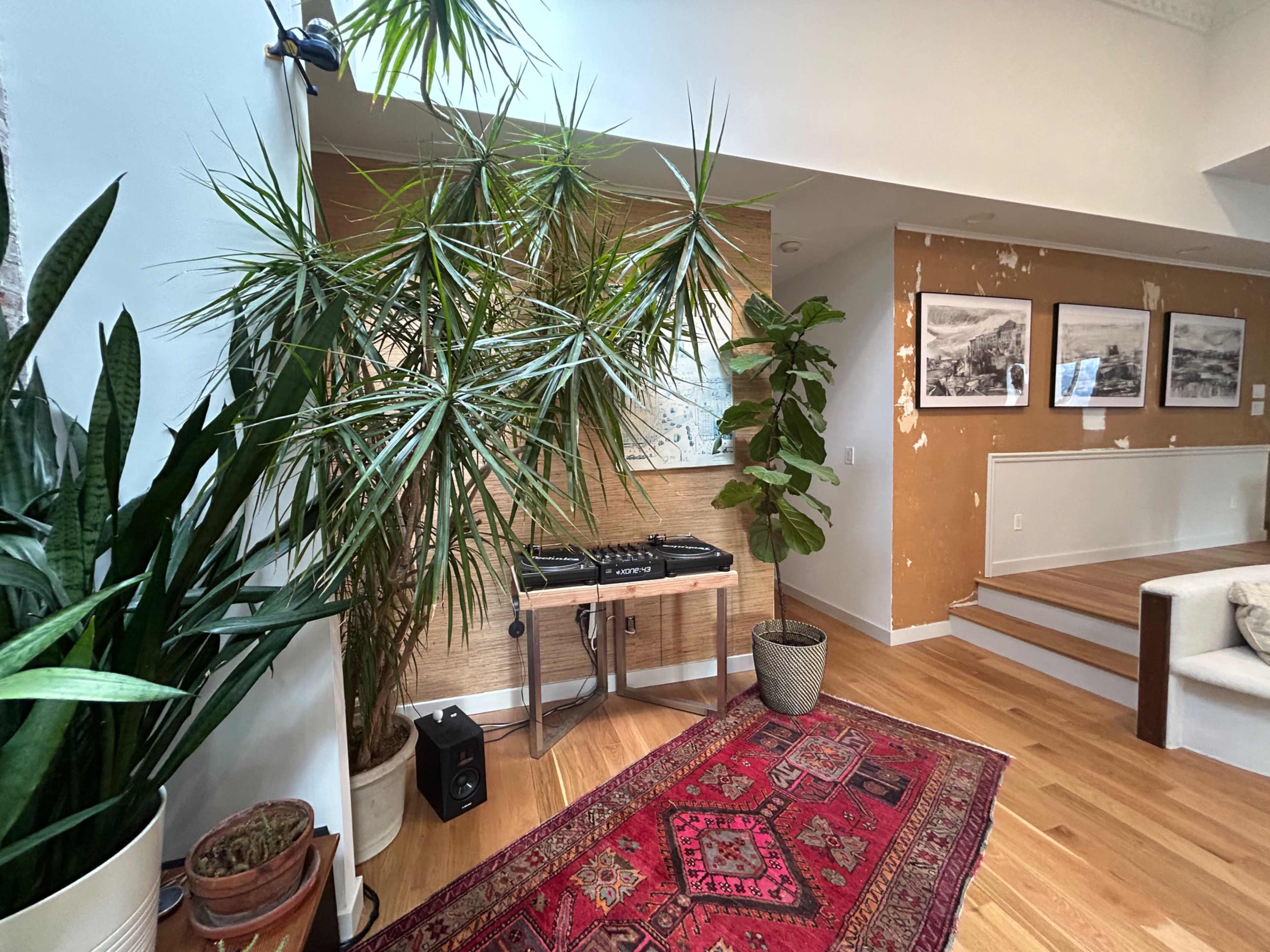 The image shows a room featuring large indoor plants, a DJ setup on a metallic stand, a decorative rug, and several framed photographs on the wall.