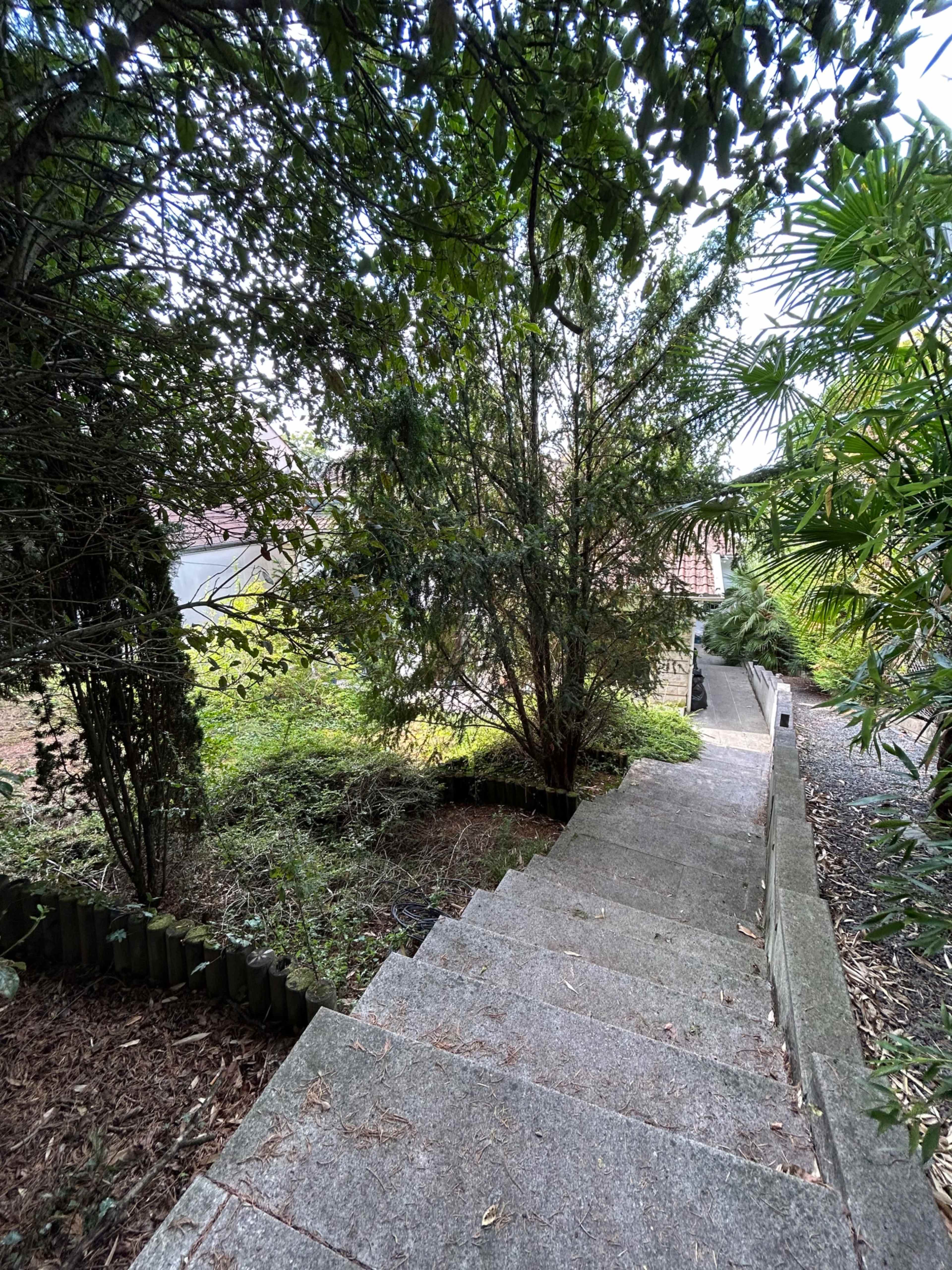 The image shows a set of stone steps leading down through greenery towards a partially visible building.