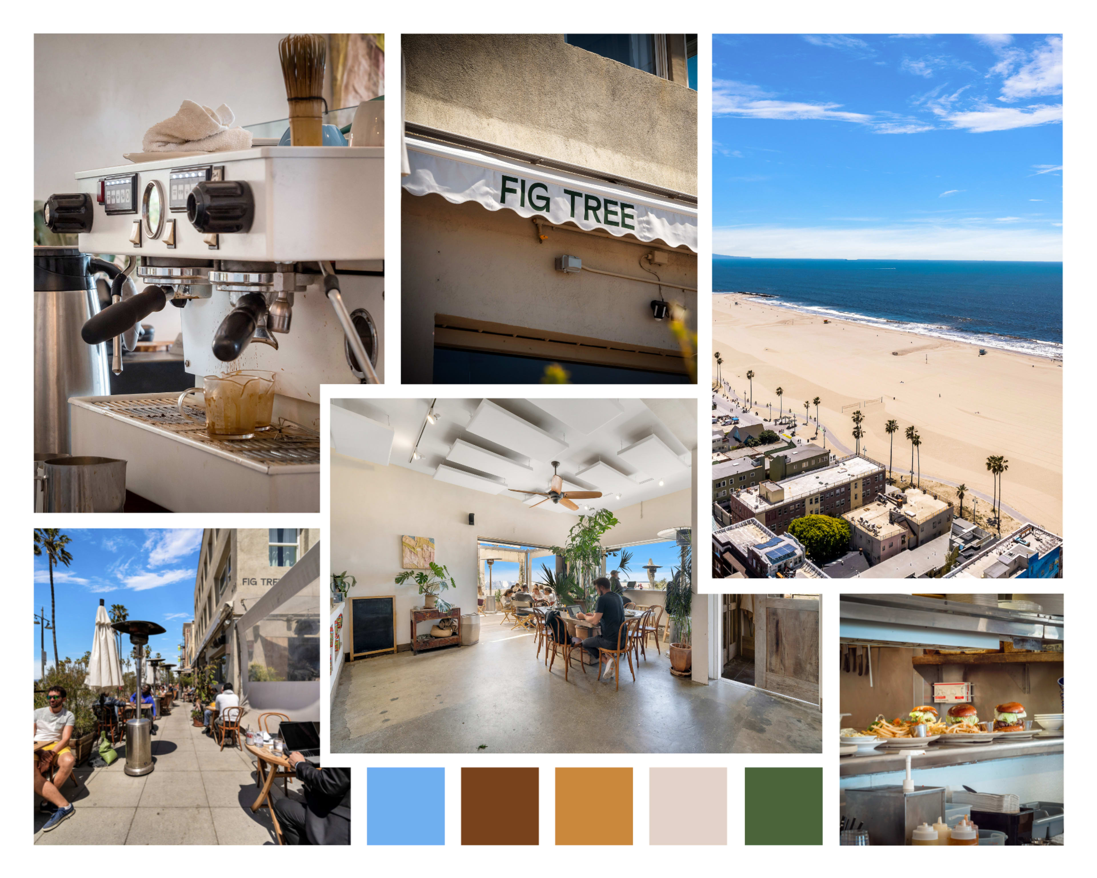 A collage of scenes from a café named Fig Tree, showcasing a coffee machine, beach view, interior dining area, and outdoor seating along the coastline.