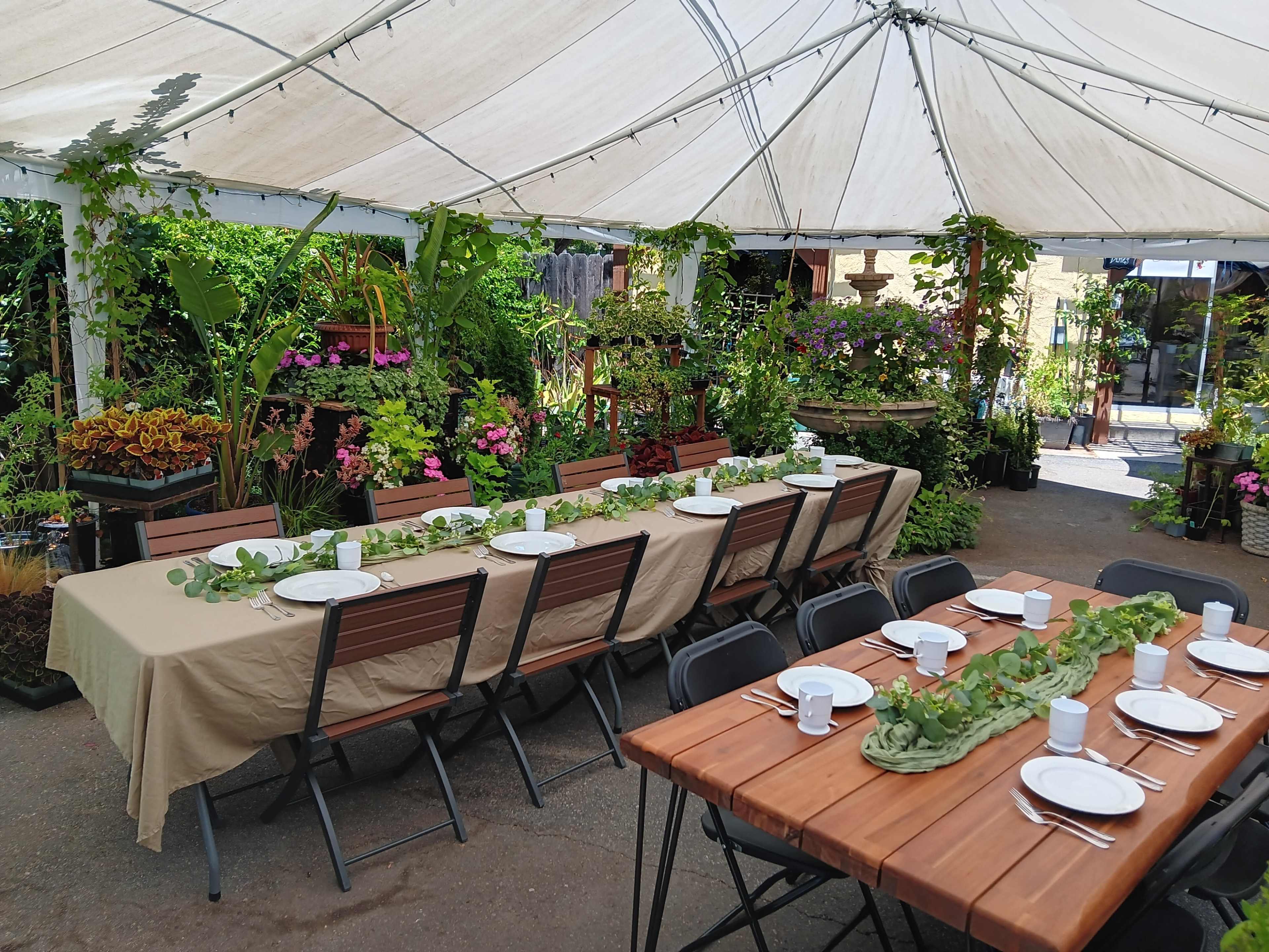 A long dining table is set under a tent, surrounded by plants and flowers, with plates and cups arranged along the table.