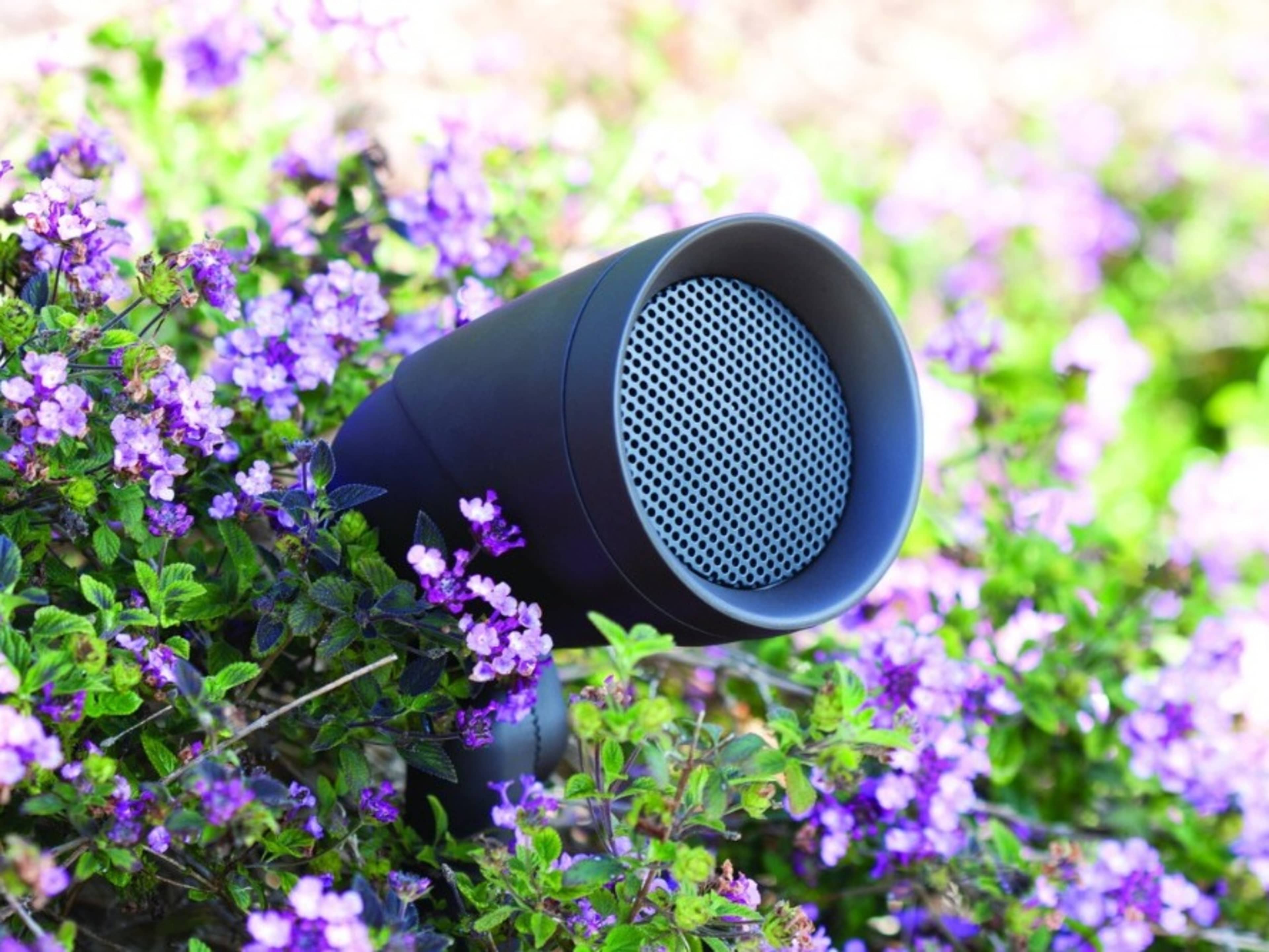 Audio System