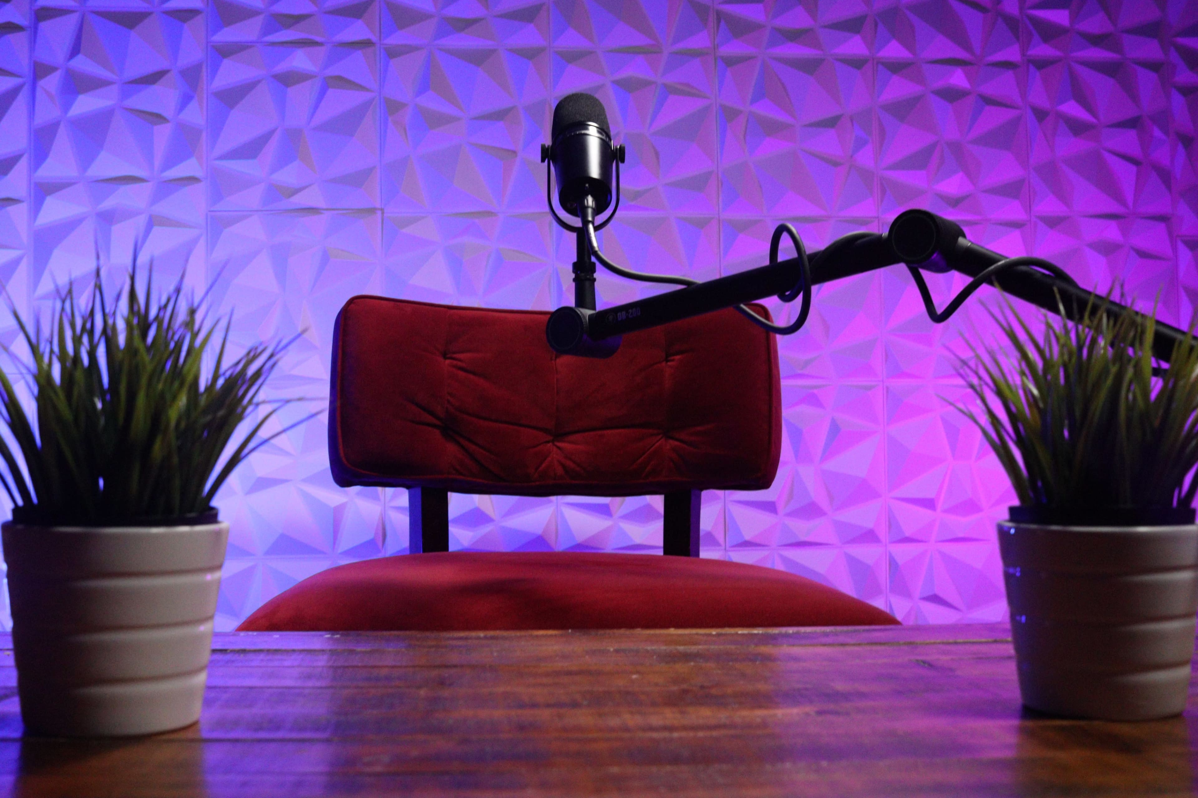 The image shows a microphone positioned in front of an empty red chair, with two small potted plants on a wooden table and a textured, illuminated background.