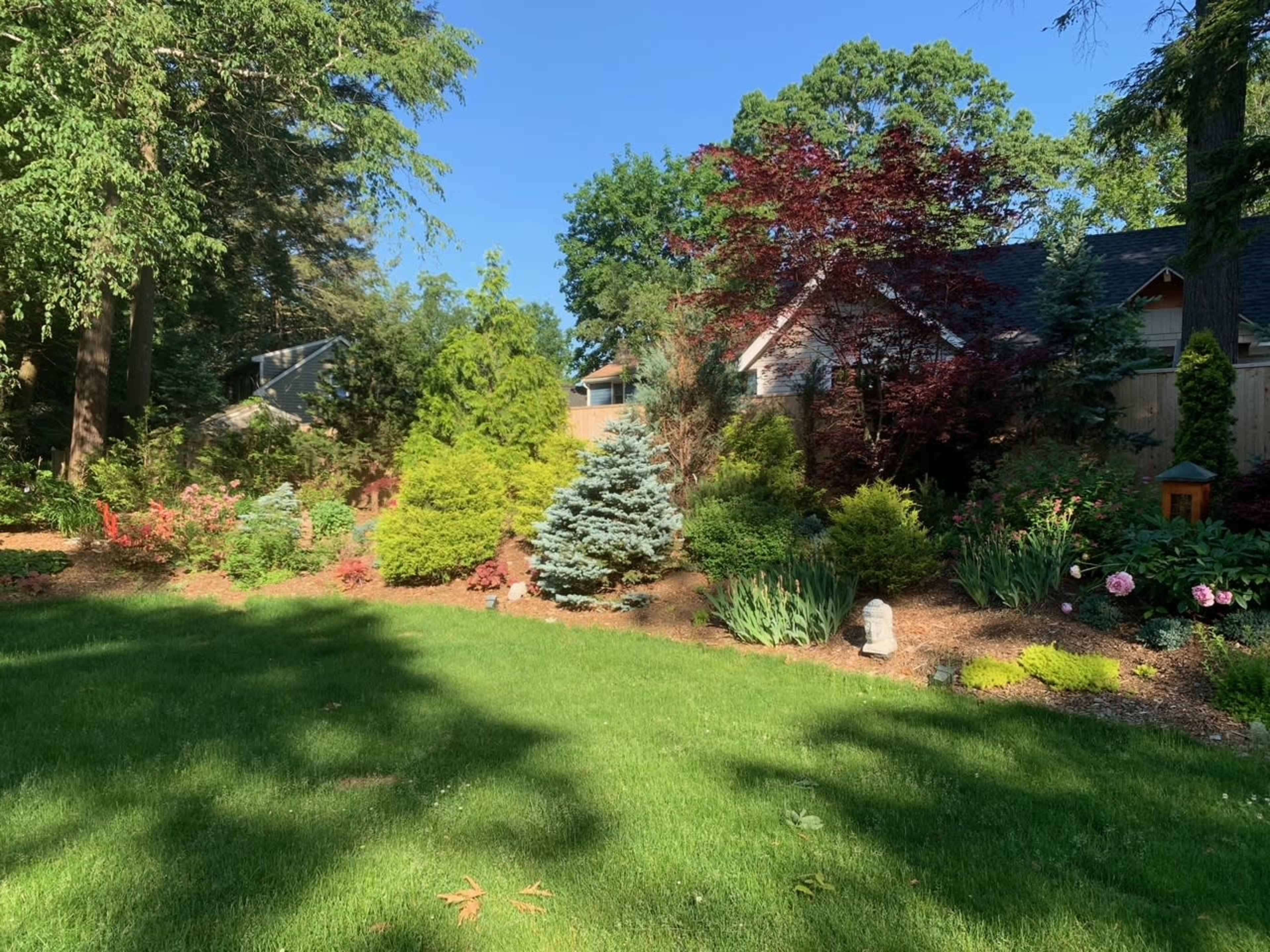 The image shows a landscaped garden with various shrubs, trees, and flowers under clear blue skies.
