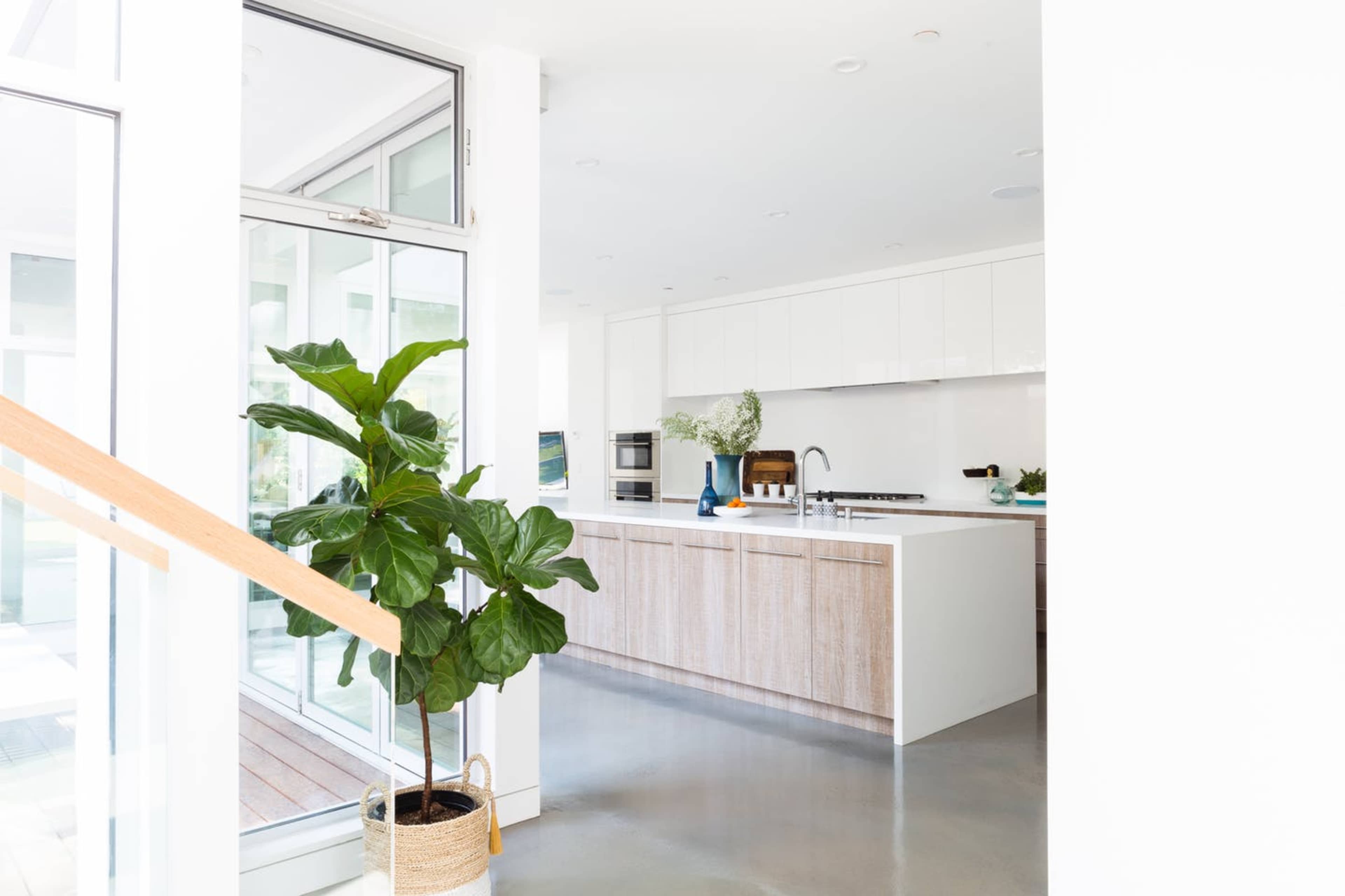 A modern kitchen with a wooden island and a large window allowing natural light to fill the space, along with a potted plant in the corner.