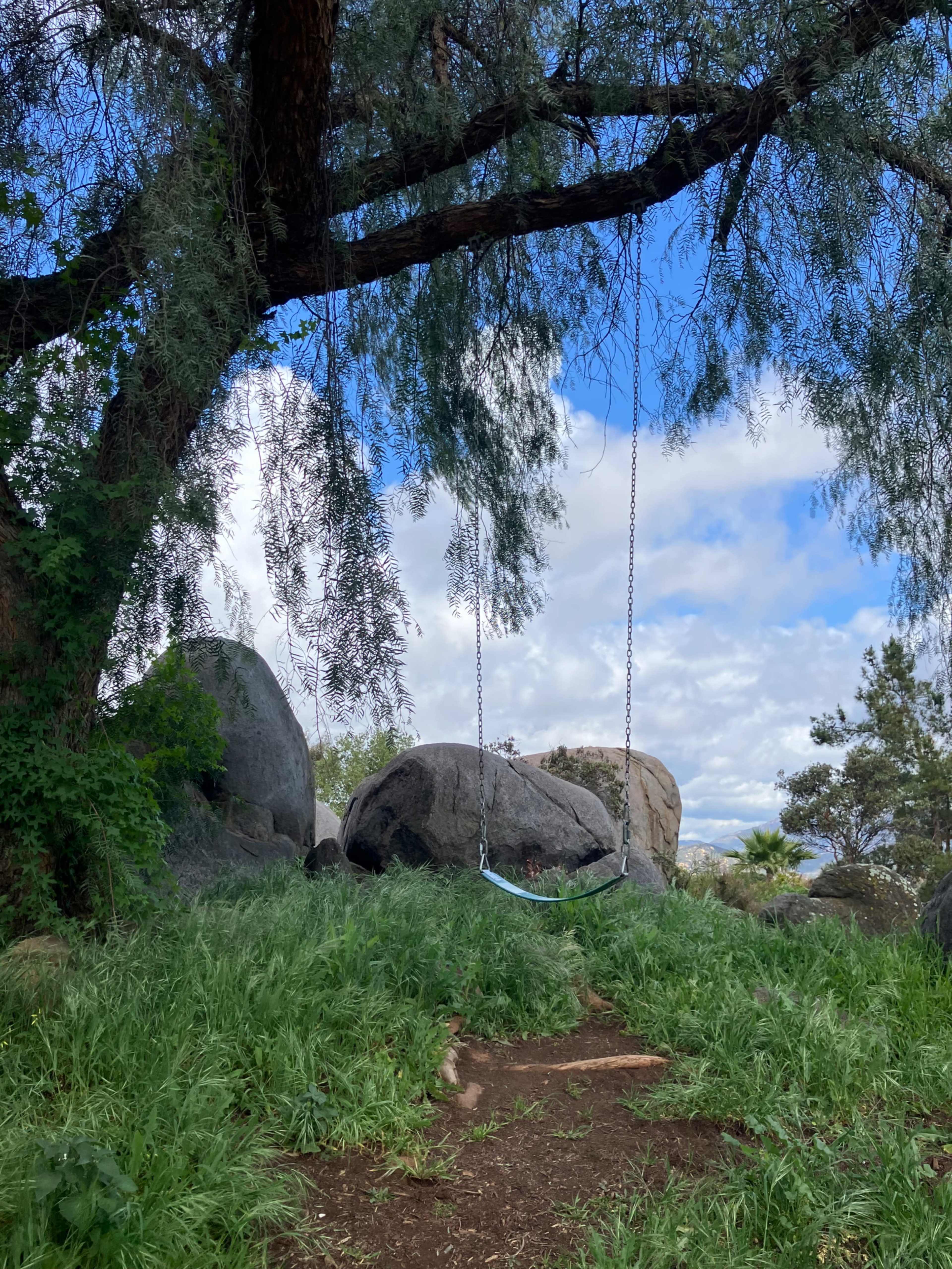 A swing hangs from a large tree near a rocky area and lush green grass under a cloudy sky.