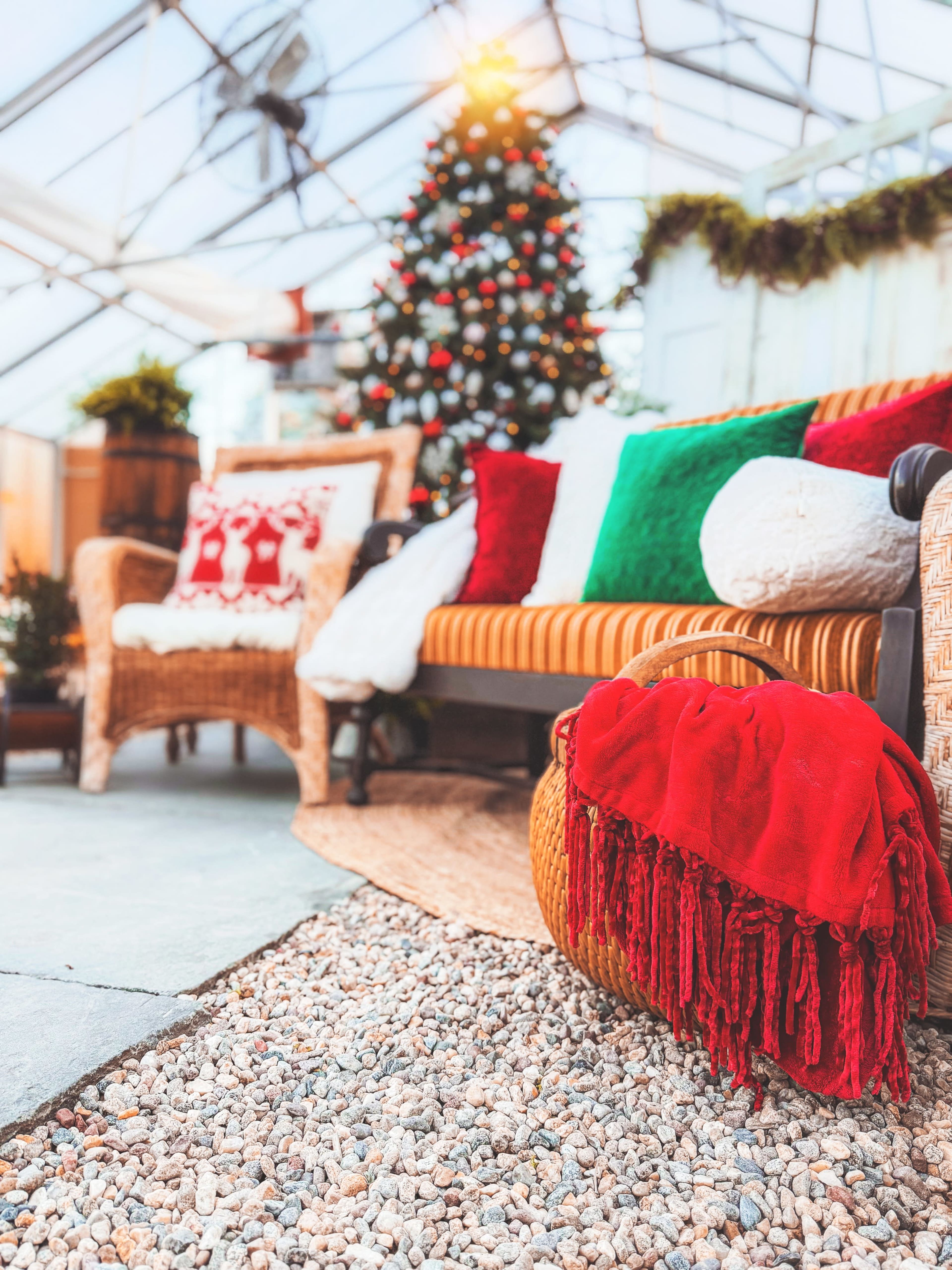 The image features a cozy indoor space with a decorated Christmas tree, a woven couch adorned with colorful pillows, and a red blanket draped over a basket on a gravel floor.