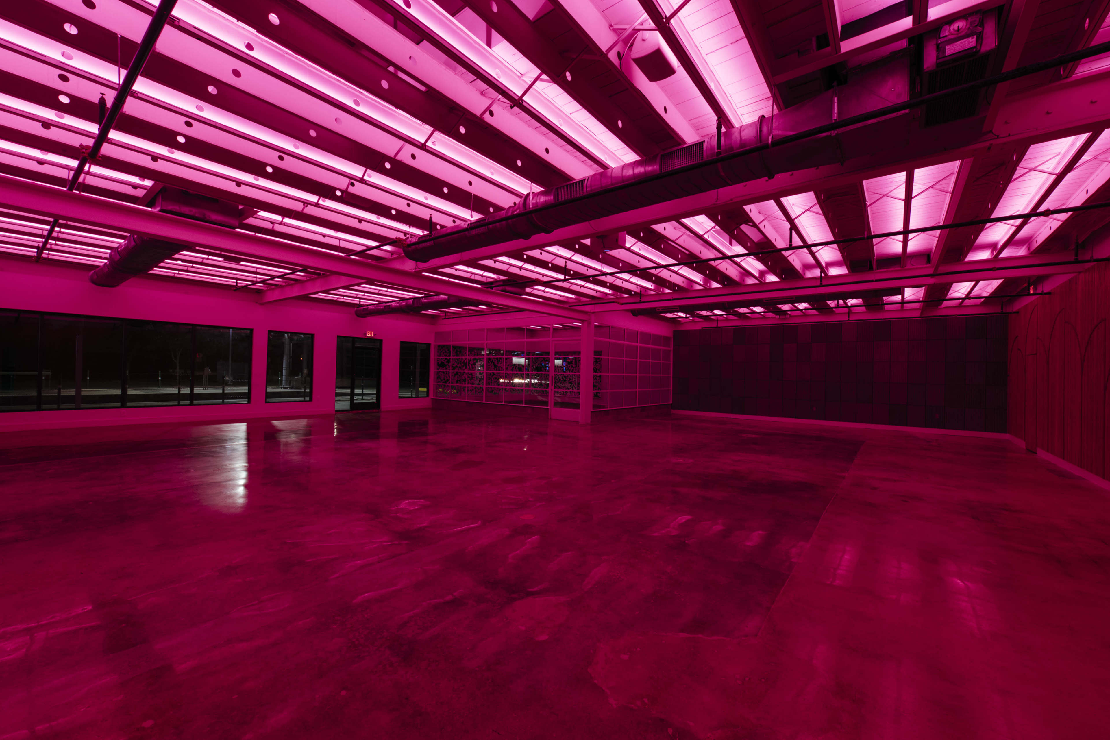 An empty room with polished concrete floors is illuminated by vibrant pink LED lights from the ceiling.