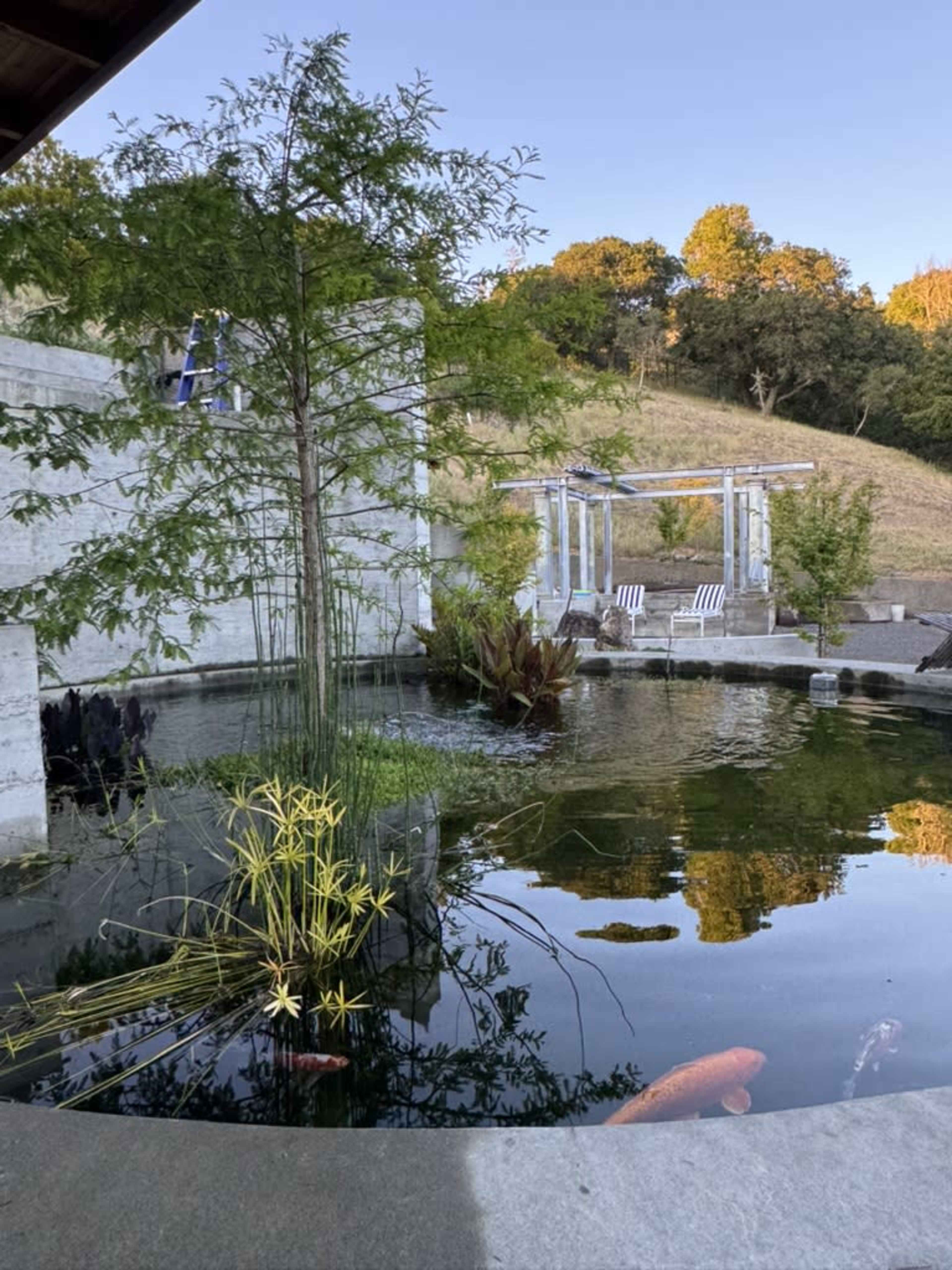 The image features a serene outdoor pond surrounded by concrete structures and greenery, with chairs positioned nearby and a ladder leaning against a wall in the background.
