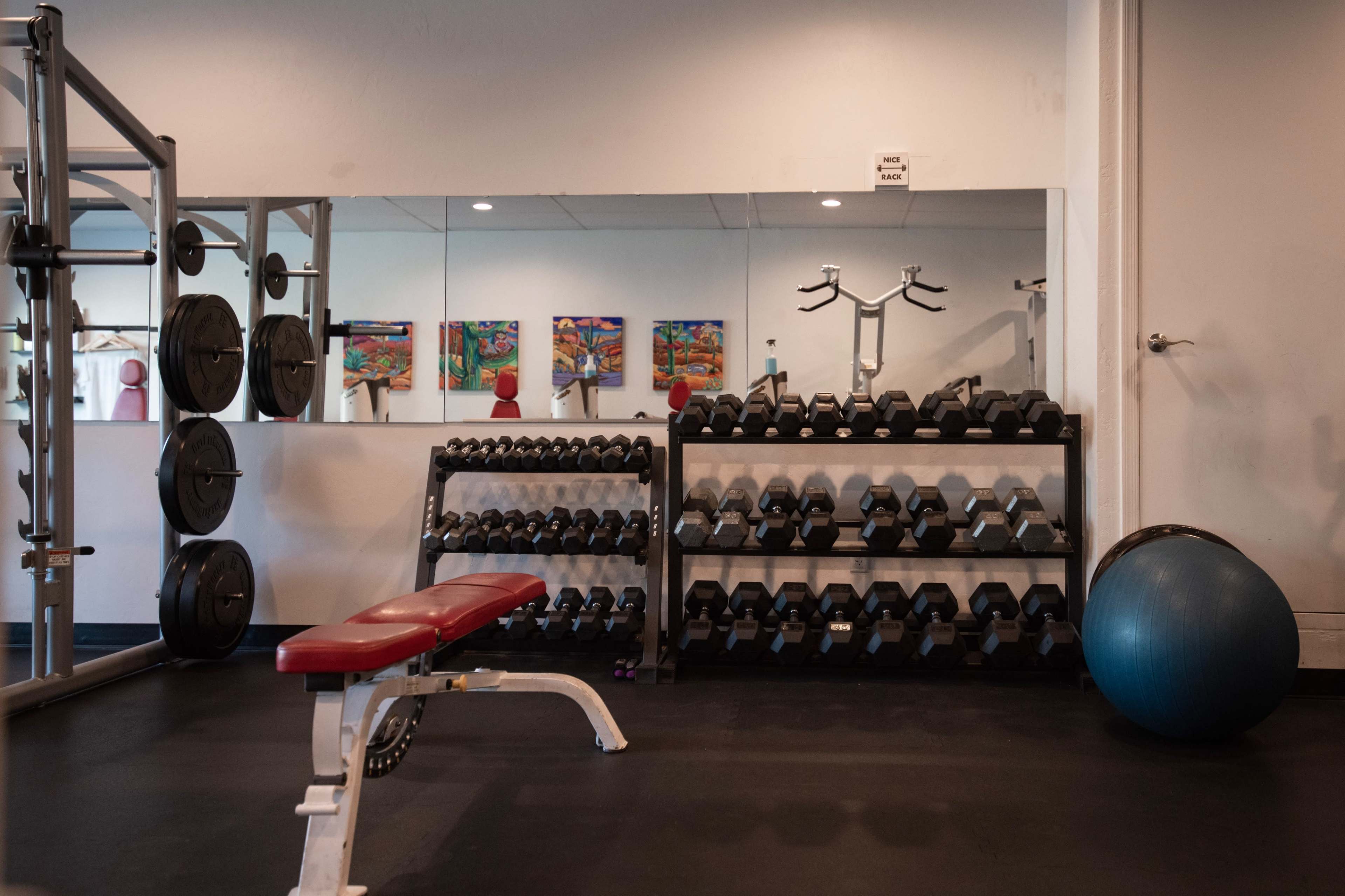 A gym interior with weightlifting equipment, a bench, dumbbells organized on a rack, and an exercise ball.