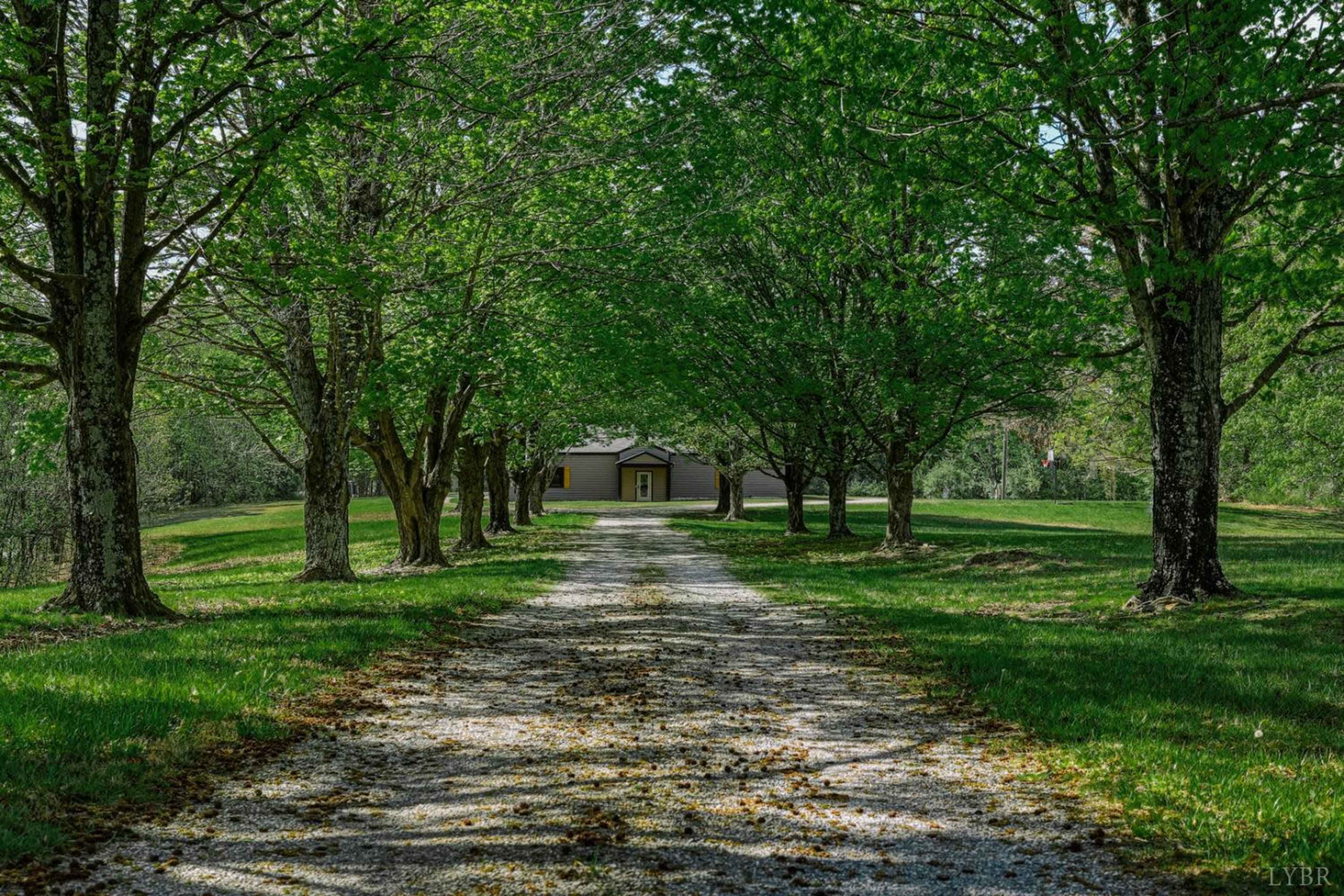 A gravel driveway lined with trees leads to a house in a green landscape.