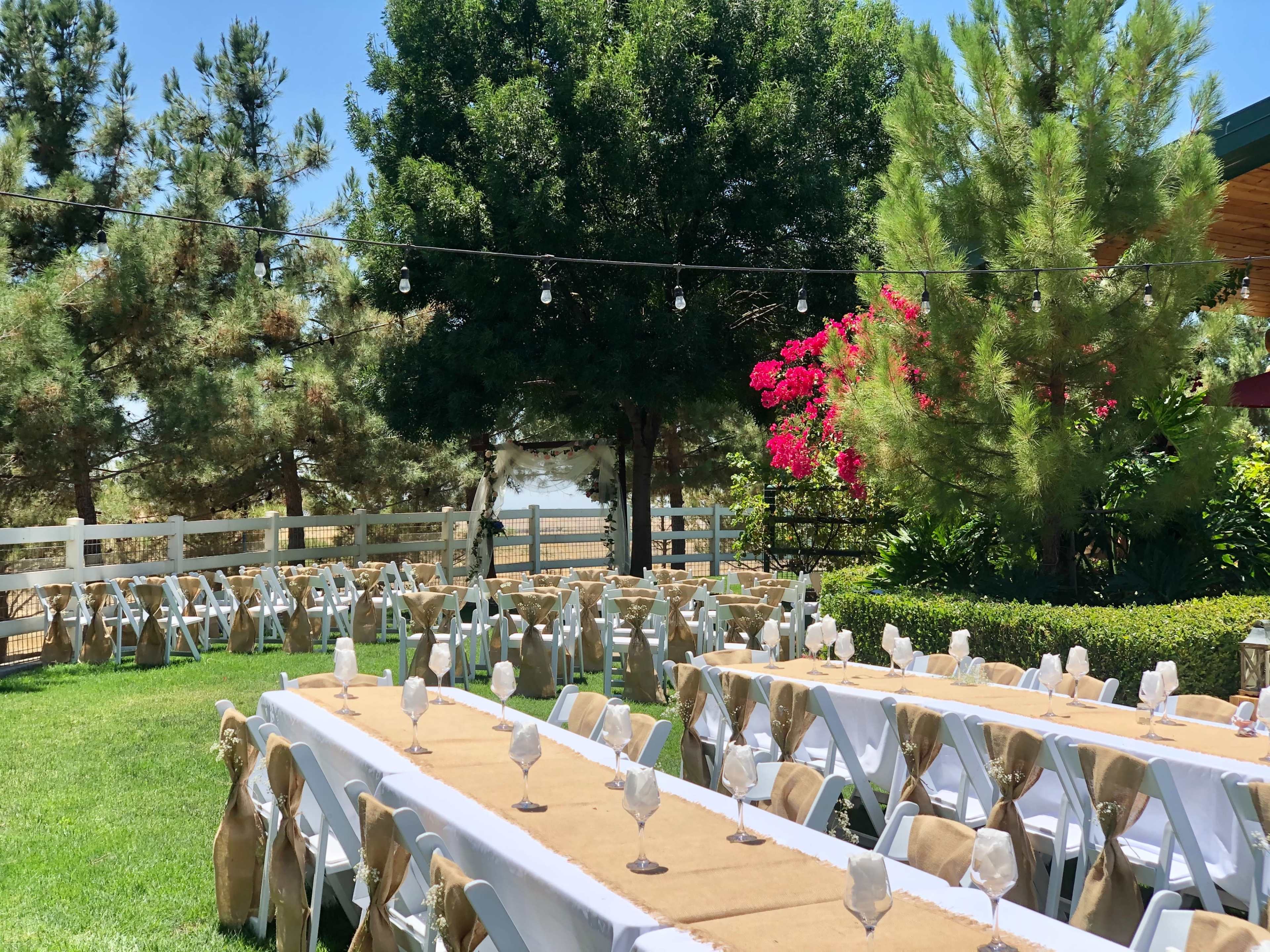A garden setting features neatly arranged tables with beige runners, decorated with glassware, surrounded by trees and flowering shrubs.
