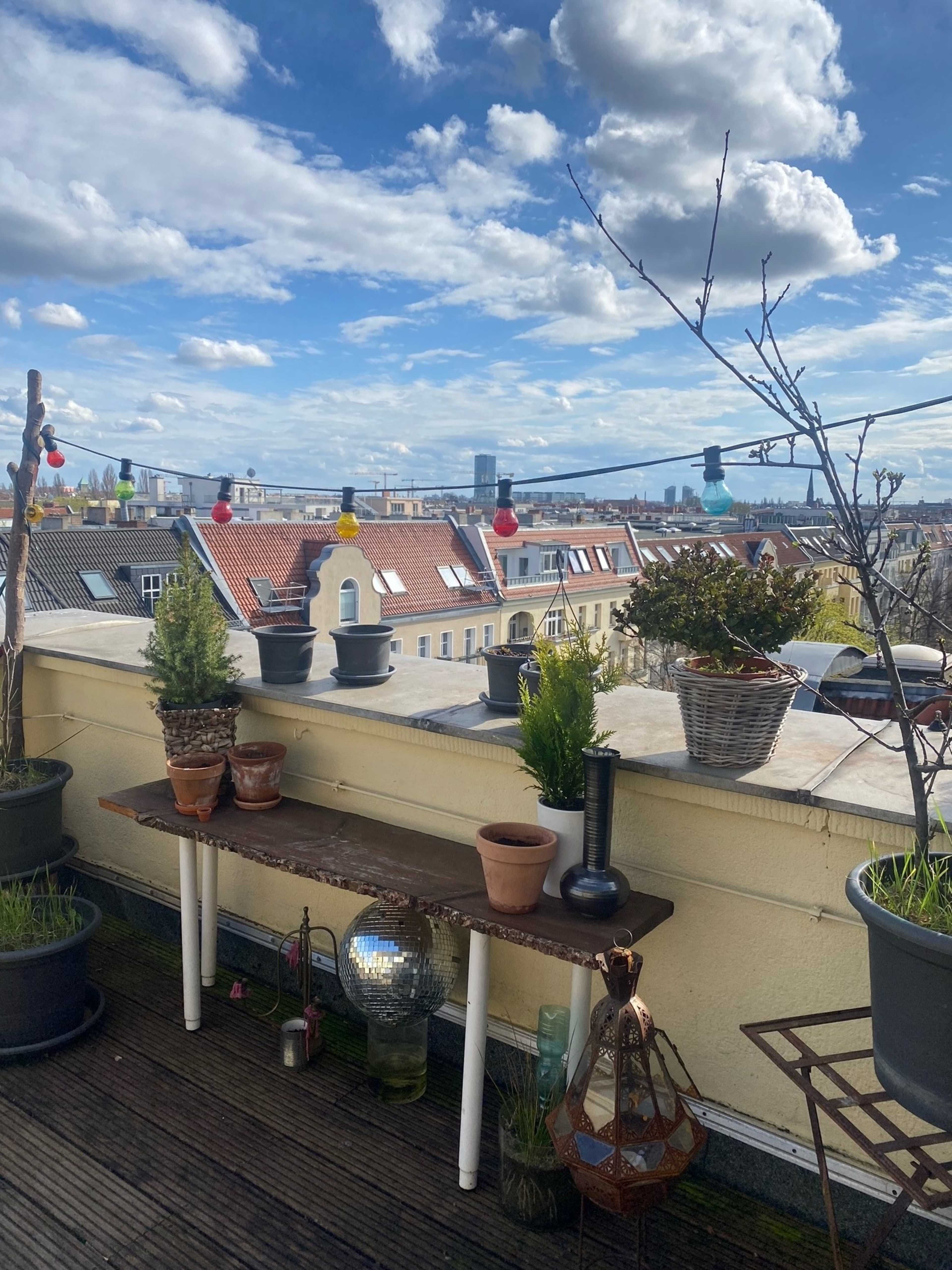 A rooftop terrace adorned with potted plants, a rustic table, and colorful string lights against a backdrop of a cloudy blue sky and city rooftops.