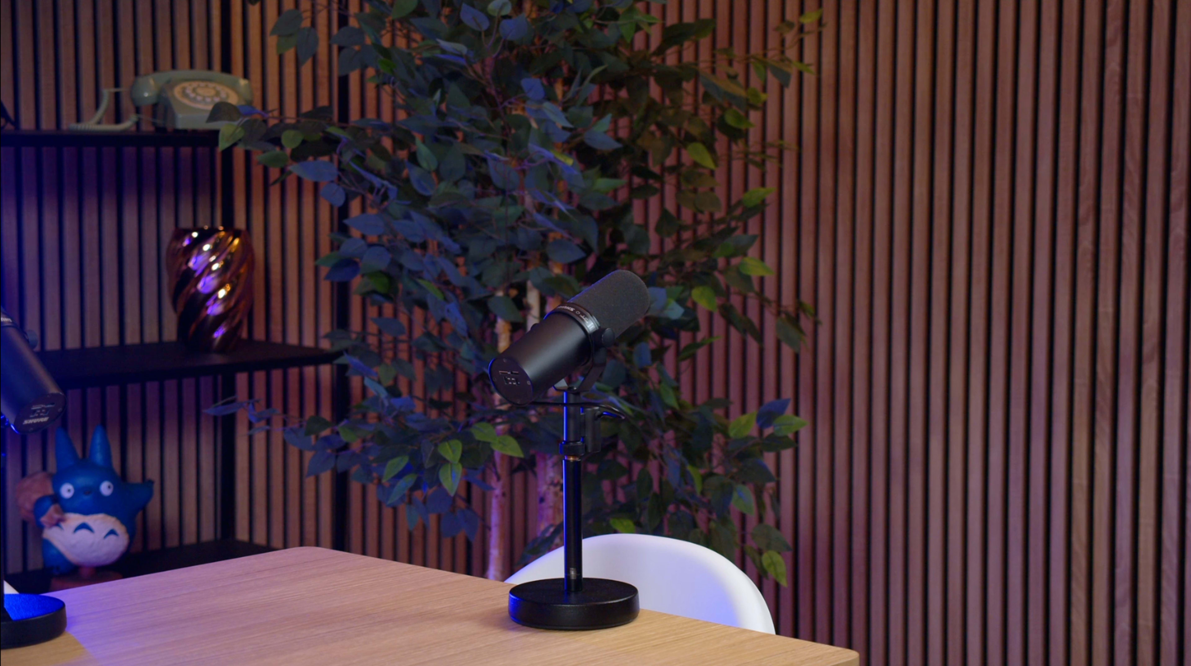 A microphone is positioned on a stand next to a wooden table, with a green plant and shelves in the background.