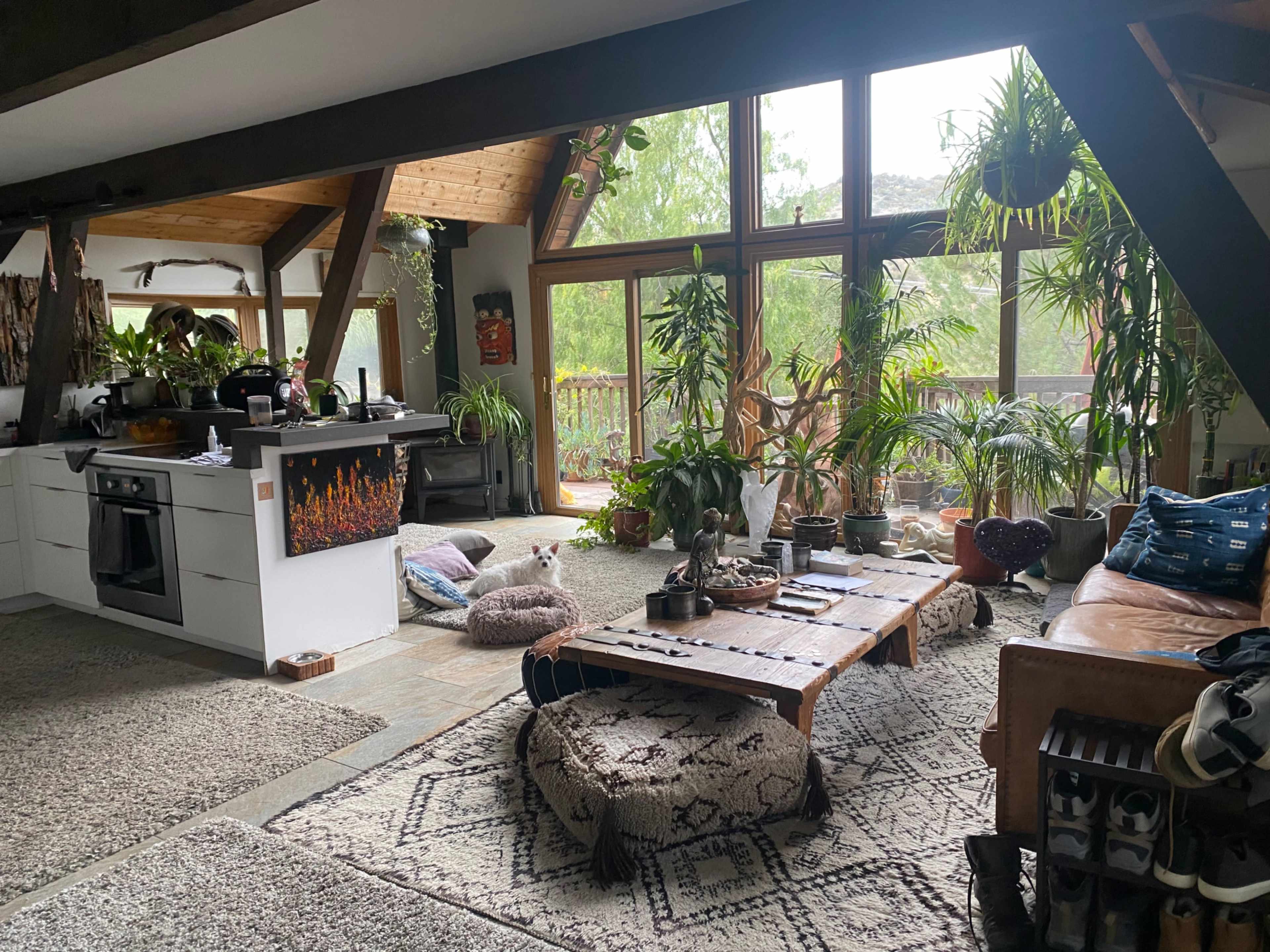 A spacious living area features large windows, plants throughout, a coffee table in the center, and a cozy seating arrangement.