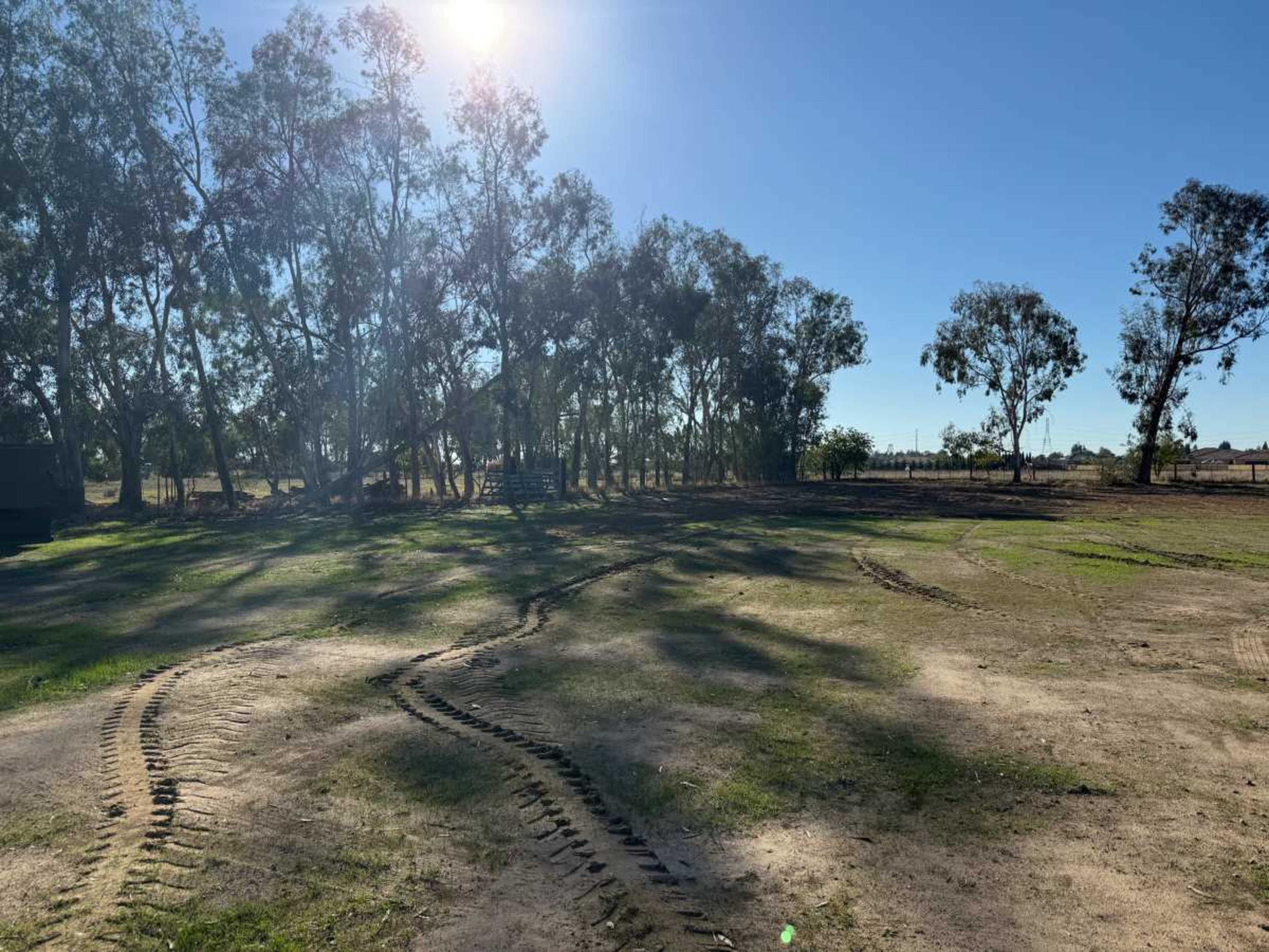 The image shows a sunlit landscape with dirt ground and tire tracks winding through an area dotted with trees.