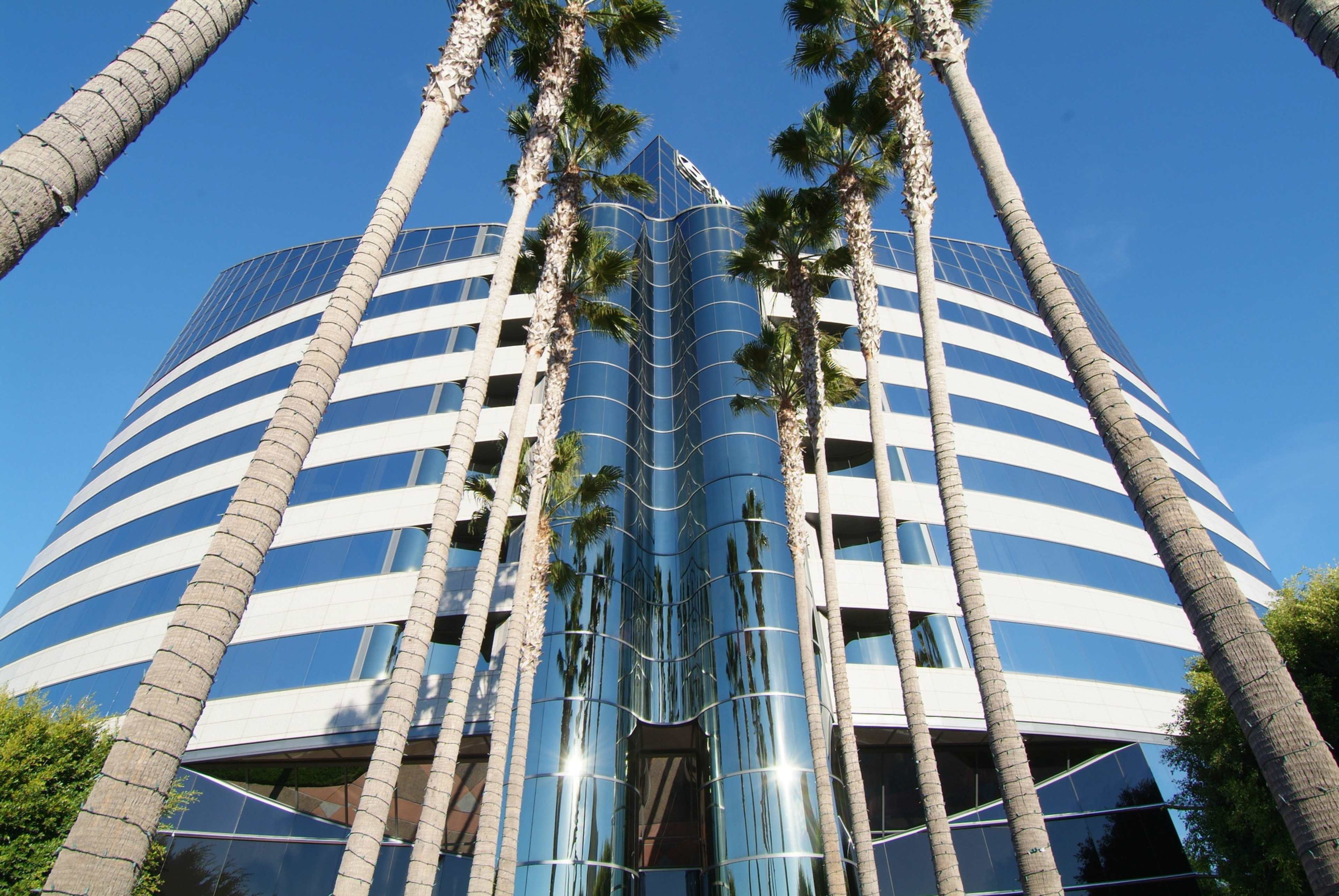 The image shows a modern glass-faced building surrounded by tall palm trees under a clear blue sky.