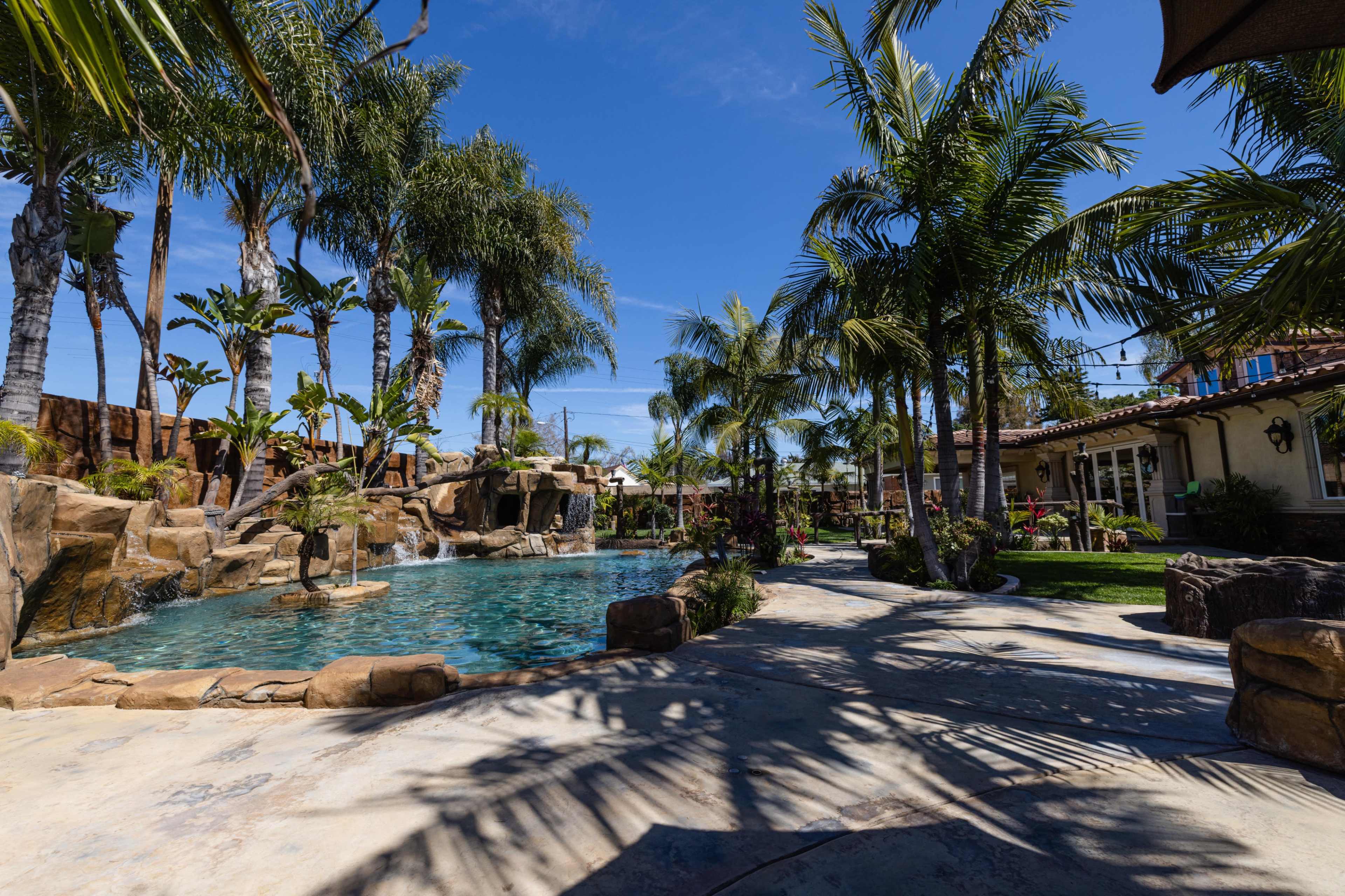 A landscaped backyard features a swimming pool surrounded by rocks, palm trees, and tropical plants under a clear blue sky.