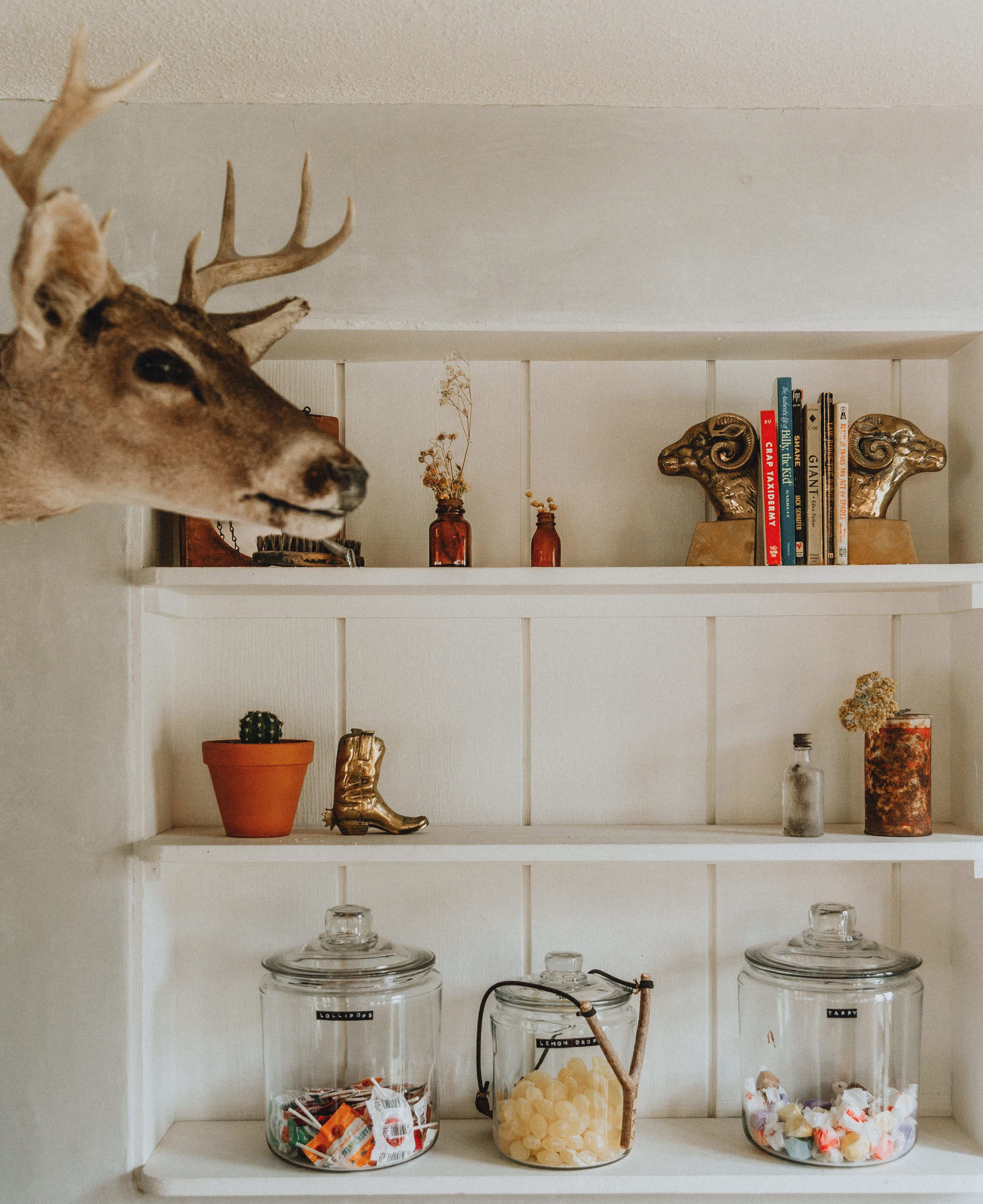 A mounted deer head is displayed above a white shelving unit filled with jars of candies and decorative items.