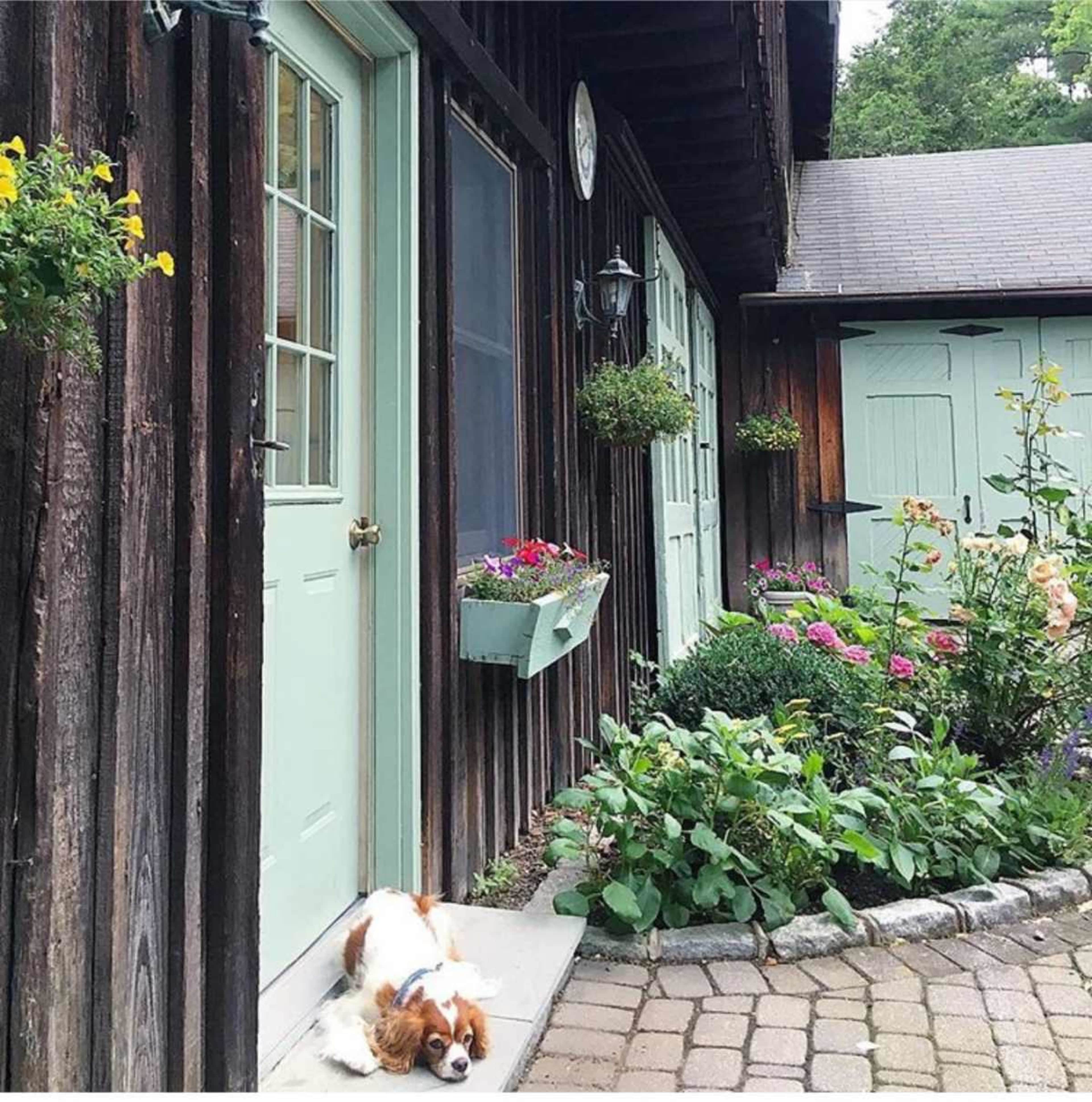 A small dog rests on the stone doorstep of a wooden house with green doors, surrounded by colorful flower beds.