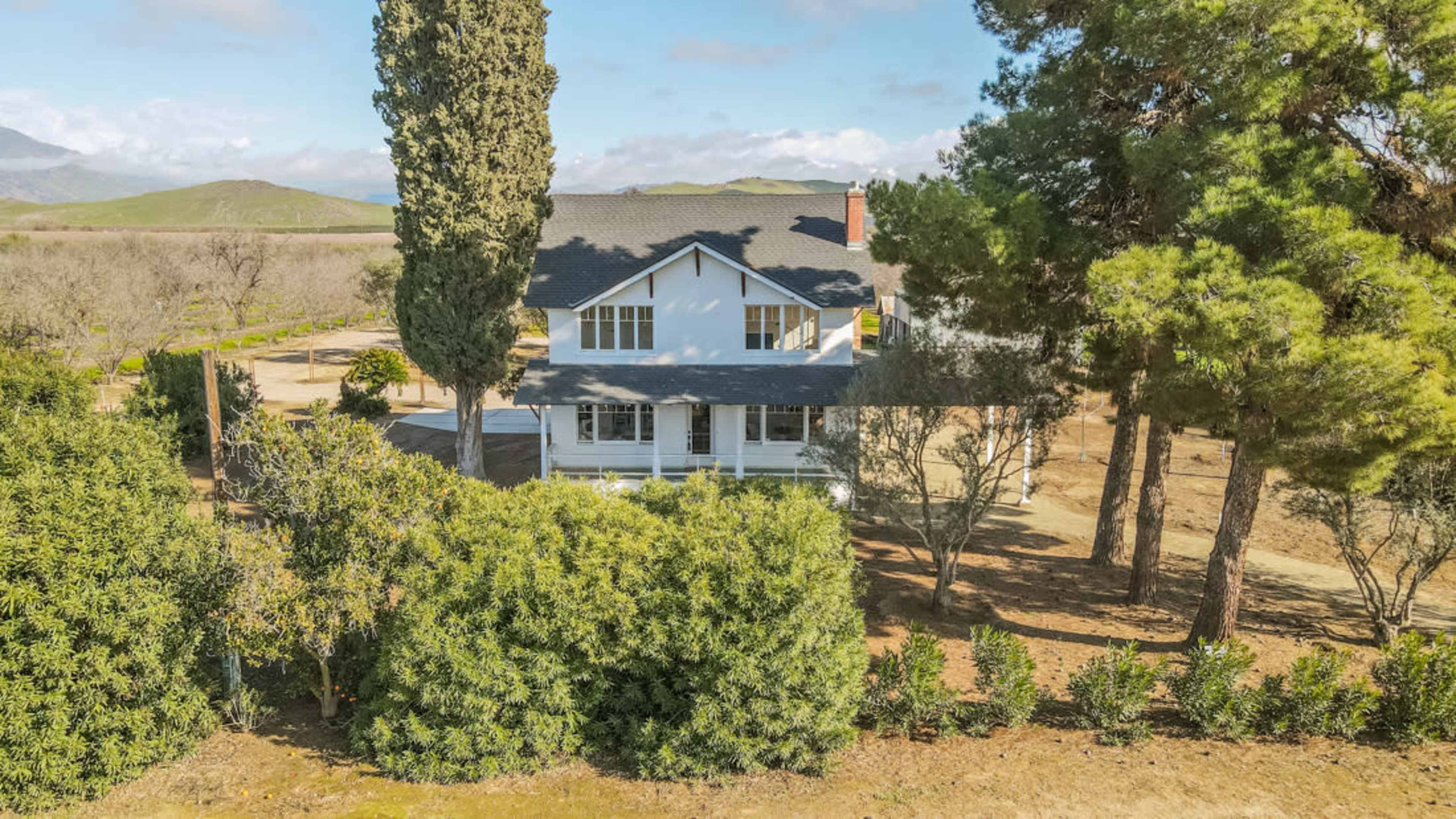 Fresno Farmhouse with Olive Orchards Image in , Reedley, CA