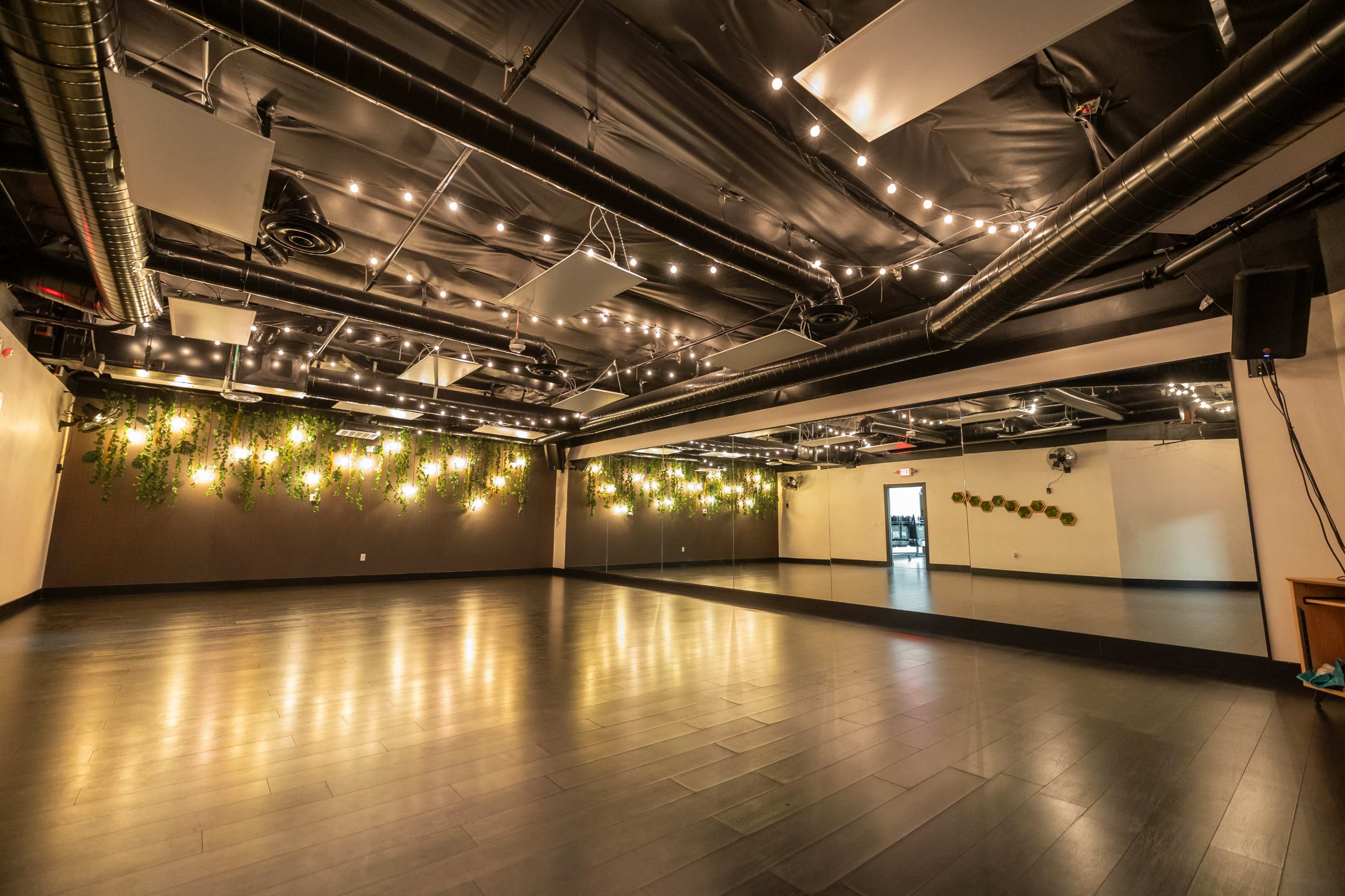 The image shows a spacious, well-lit dance studio with a mirrored wall and decorative plants along one side.
