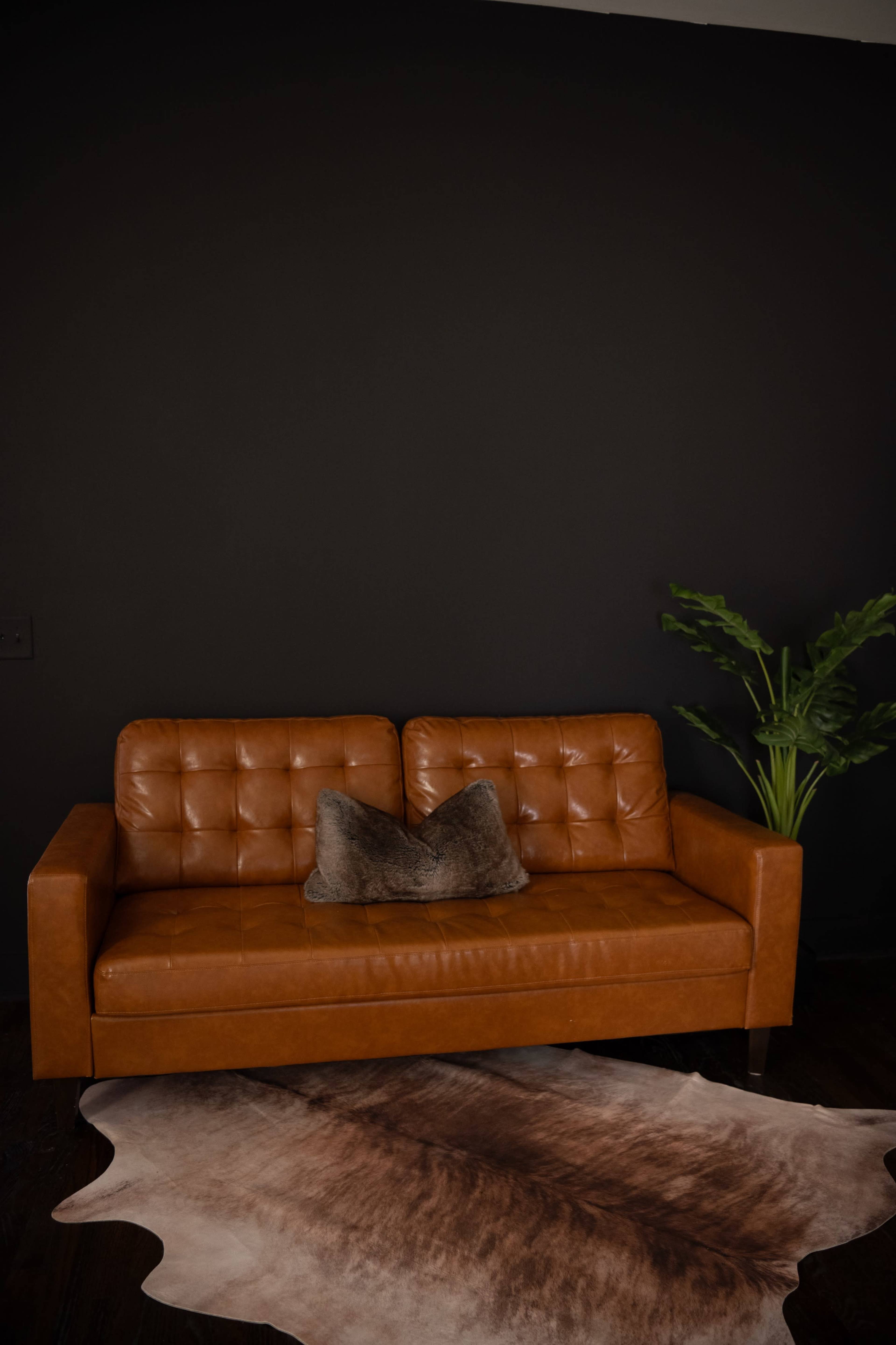 A brown leather sofa with a decorative pillow sits on a light-colored rug in front of a dark wall, accompanied by a leafy plant.