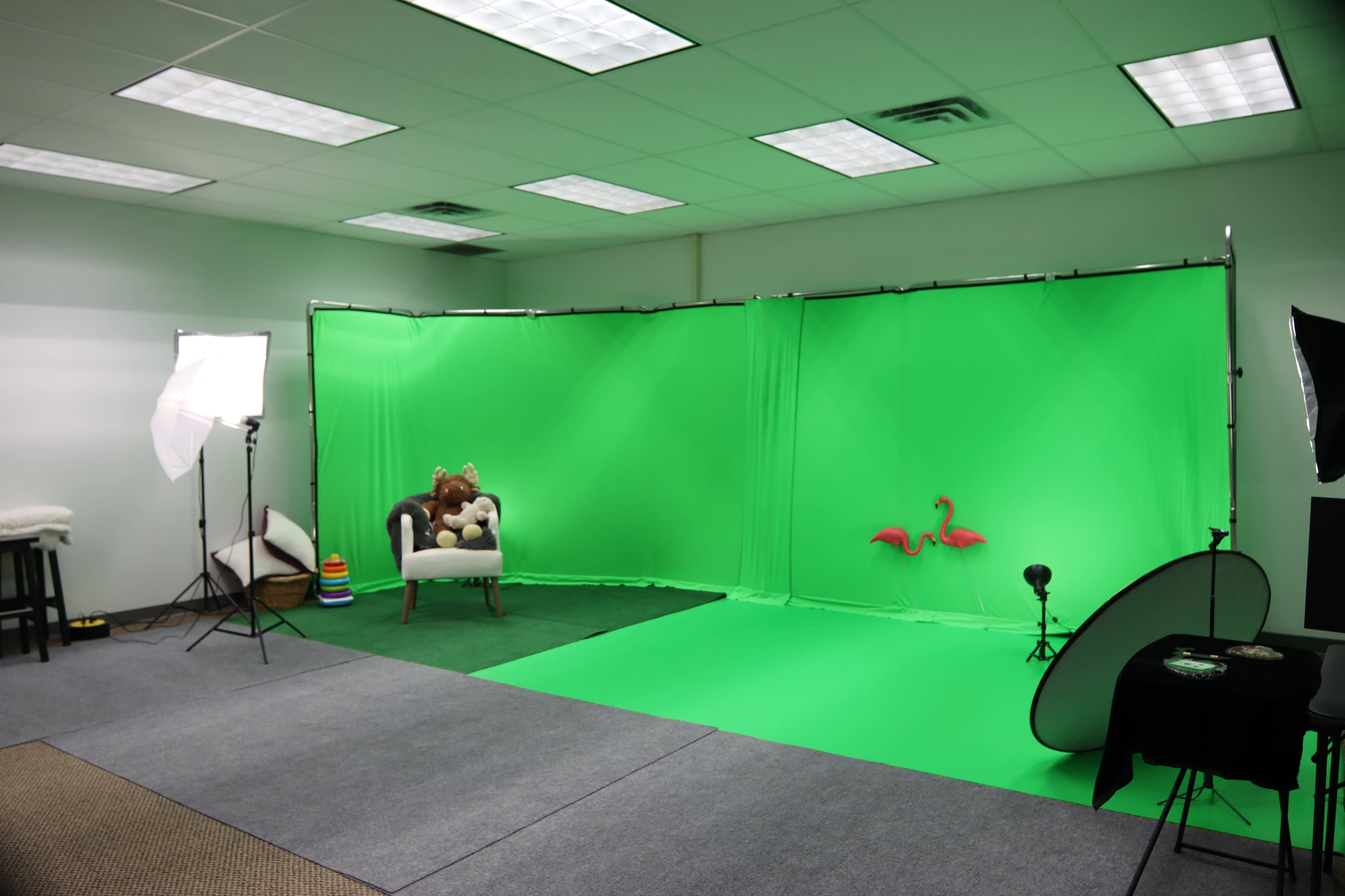 A green screen studio setup with lighting equipment, a chair with stuffed toys, and decorative flamingo props.