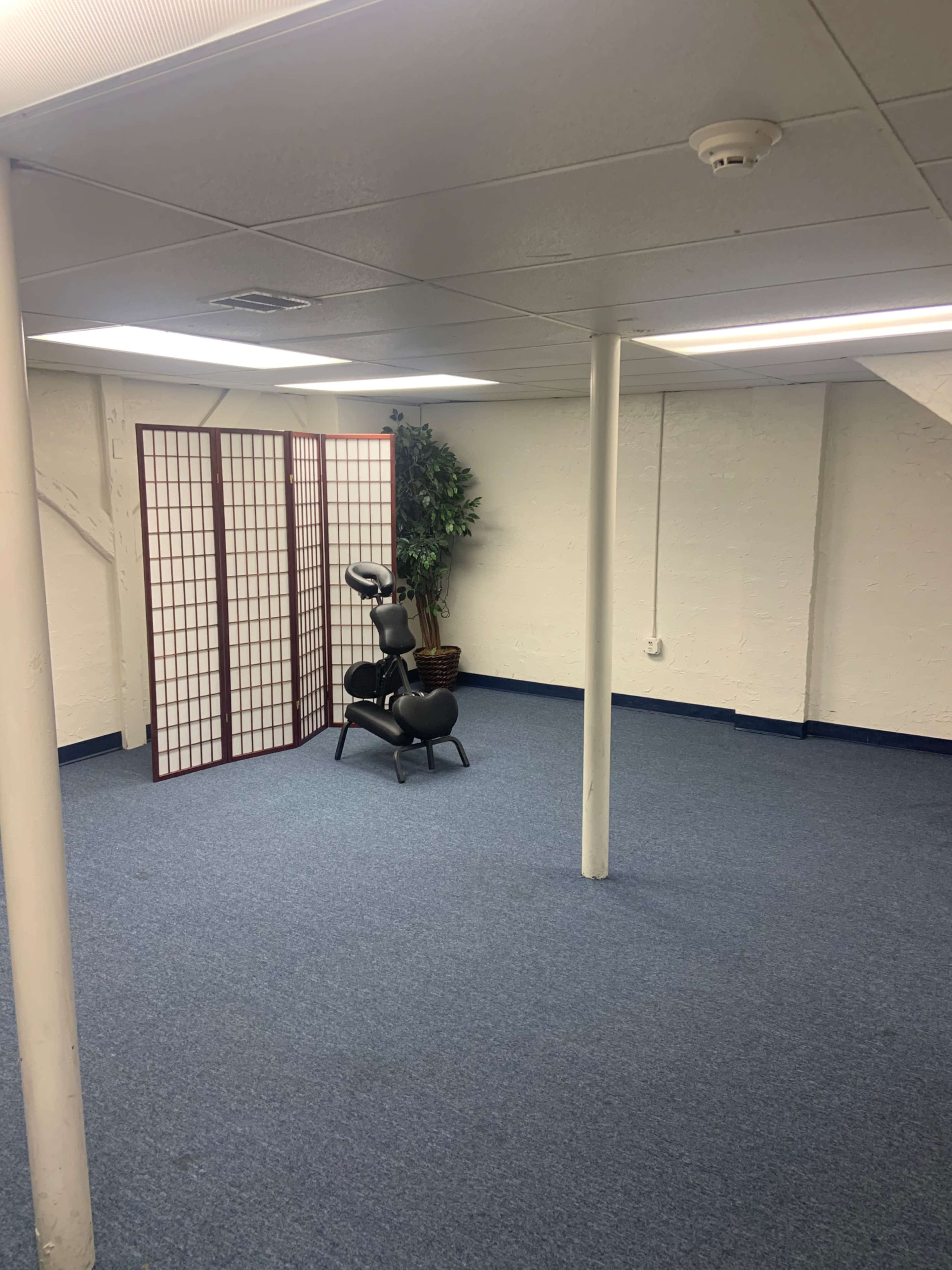 A spacious, empty basement room with blue carpeting, a folding screen, a potted plant, and a stationary exercise bike.