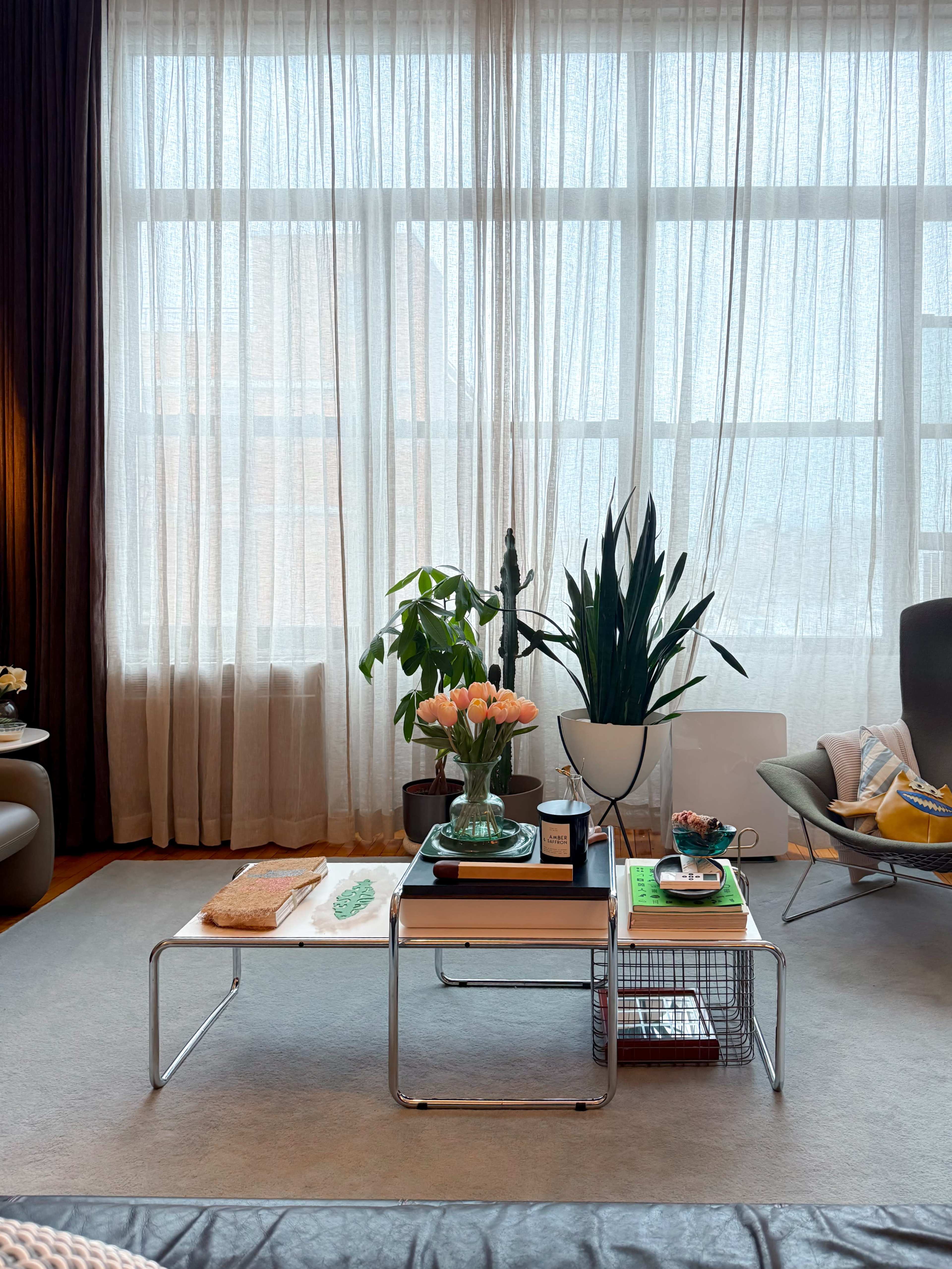 The image shows a living room with a coffee table, decorative plants, a floral arrangement, and large windows covered by sheer curtains.