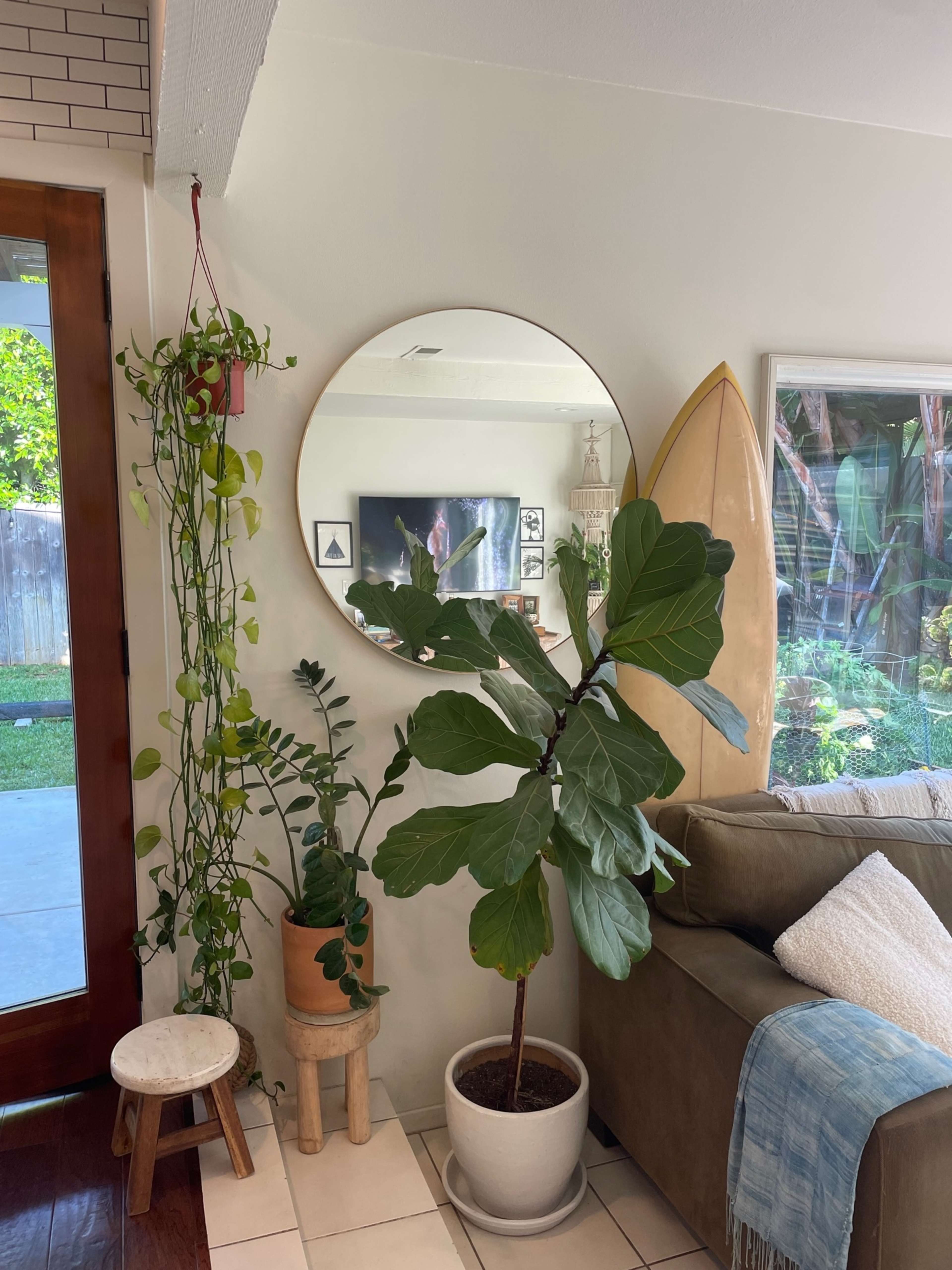 The image features a living room corner with a large mirror, various indoor plants, a surfboard leaning against the wall, and a cozy sofa.