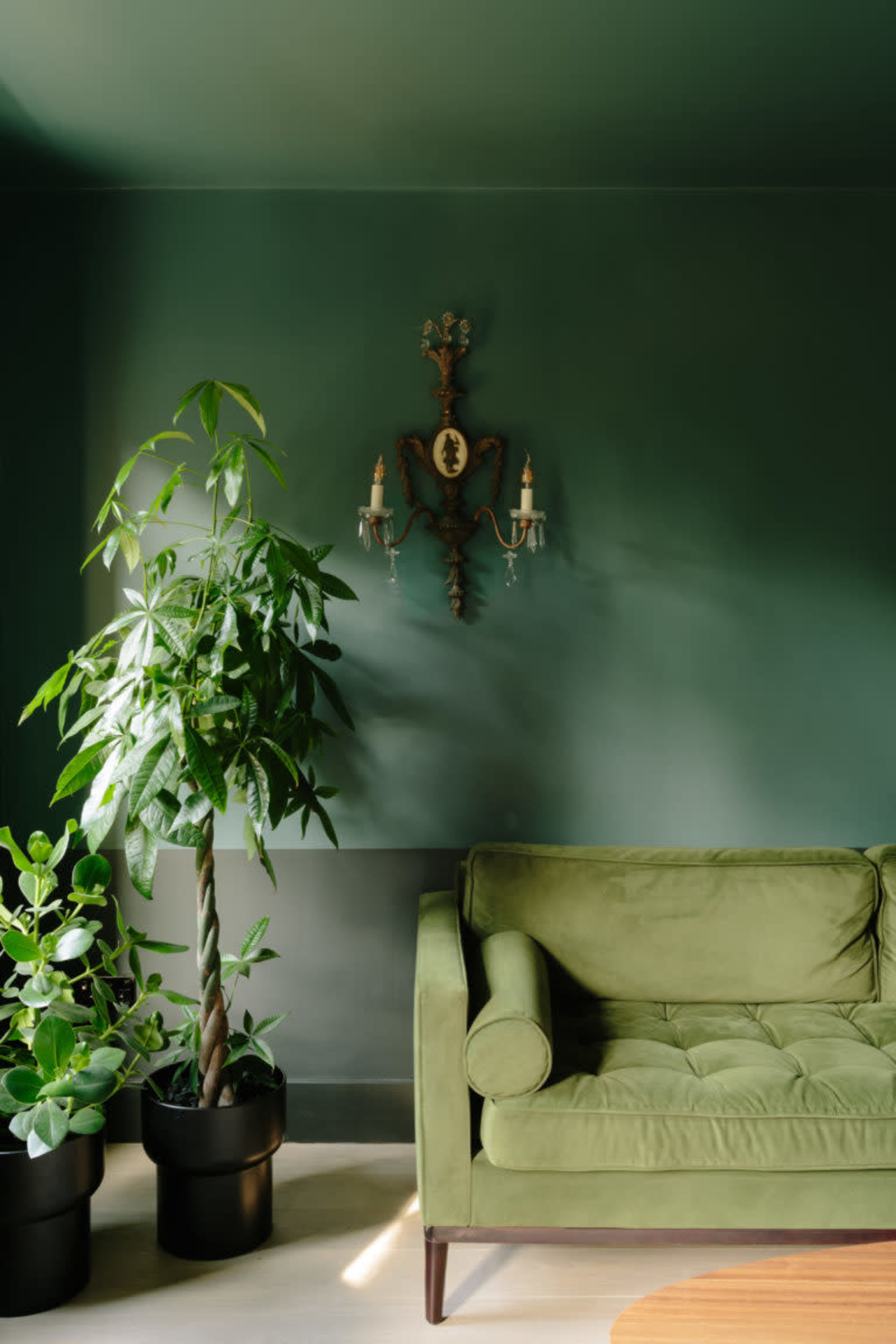 A green upholstered couch sits against a dark green wall, accompanied by potted plants and a decorative wall sconce.