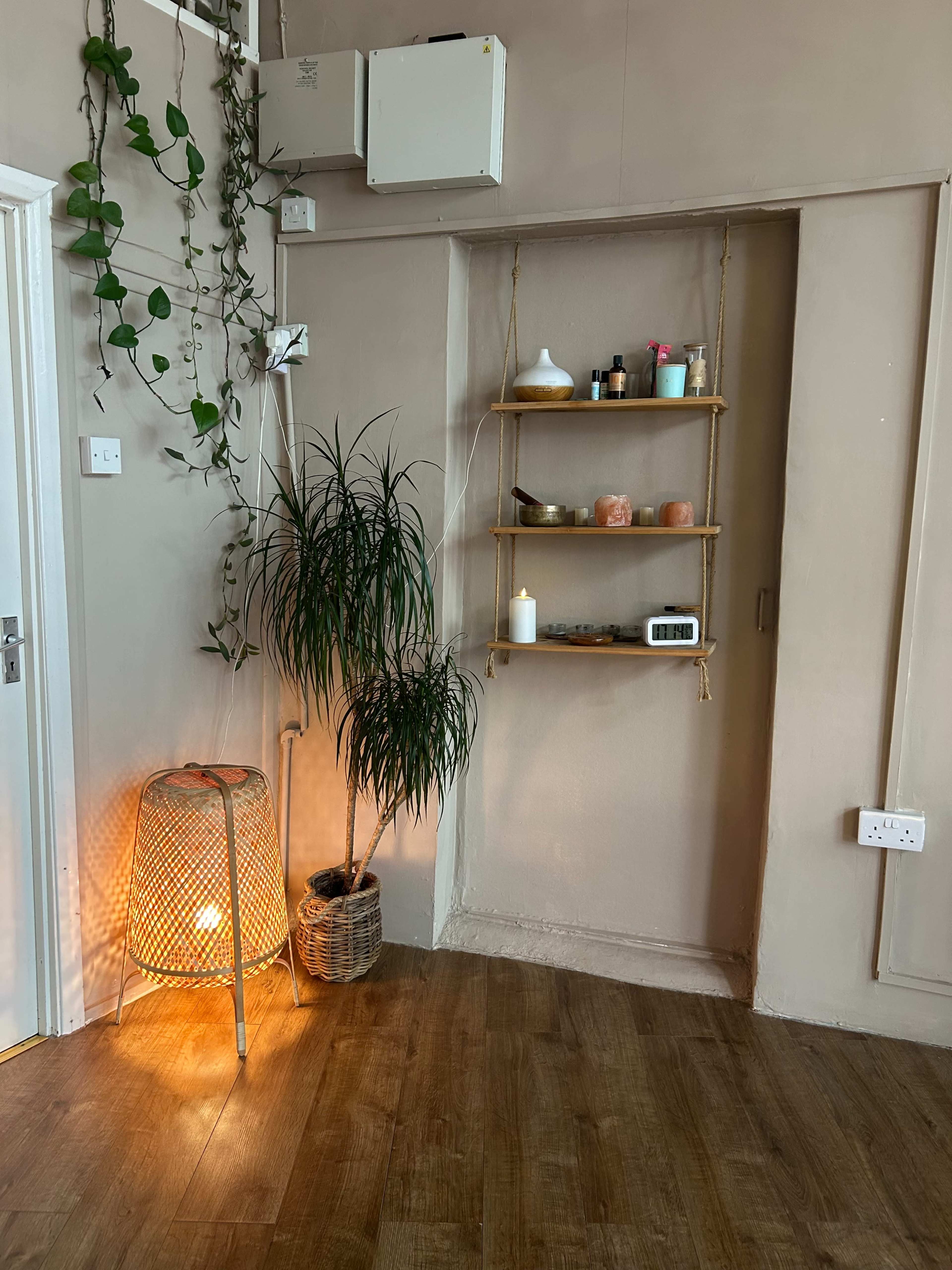 The image shows a corner of a room featuring a plant next to a woven light fixture and a wooden shelf filled with various bottles and items against a beige wall.